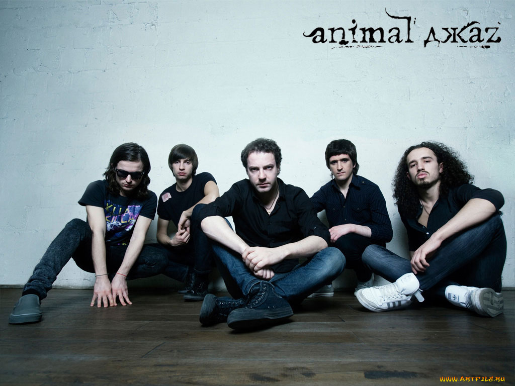 музыка, animal, джаz