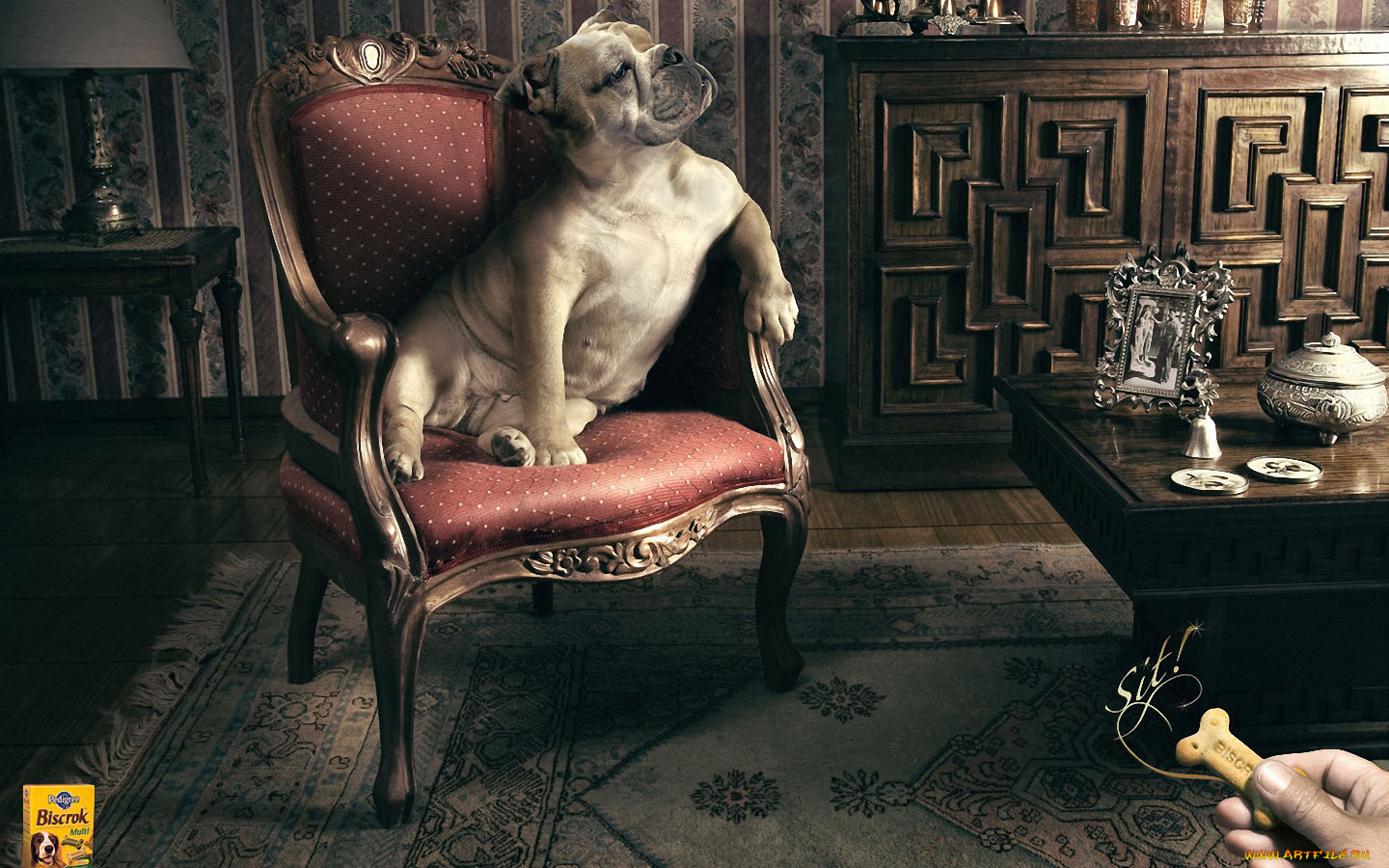 юмор, приколы