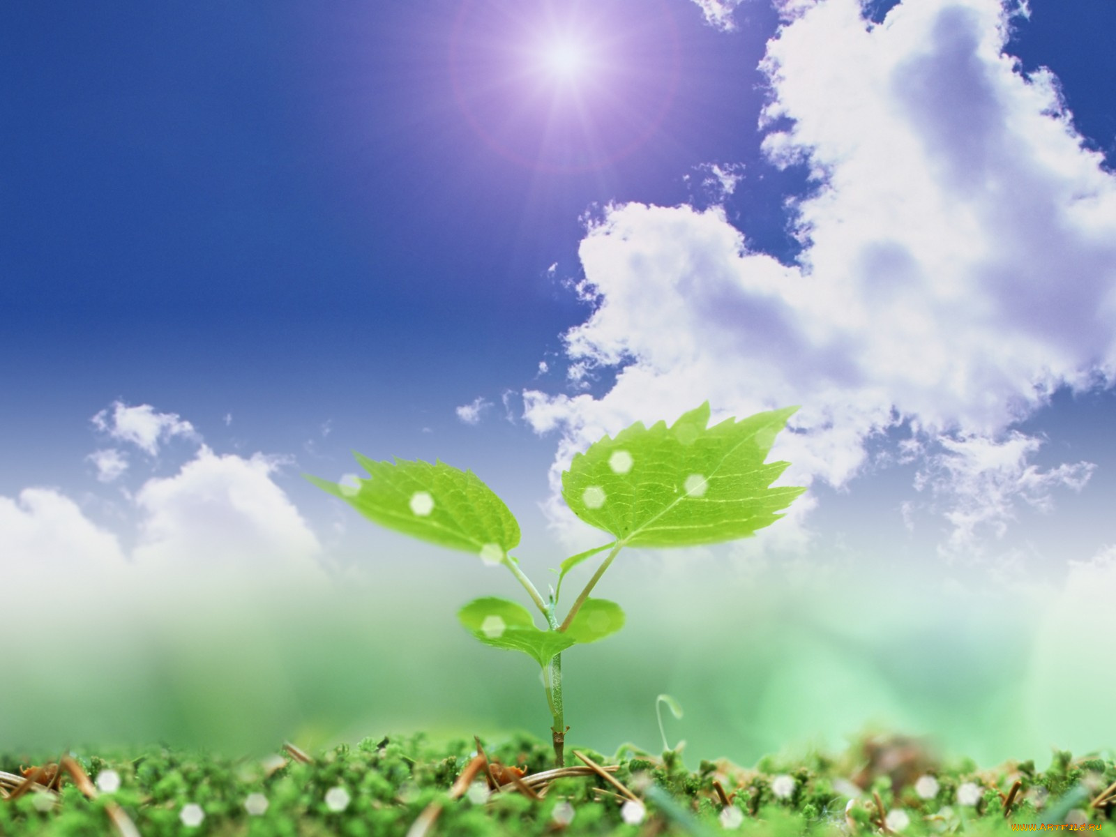 разное, компьютерный, дизайн