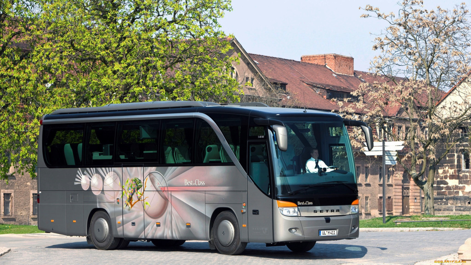 автомобили, автобусы