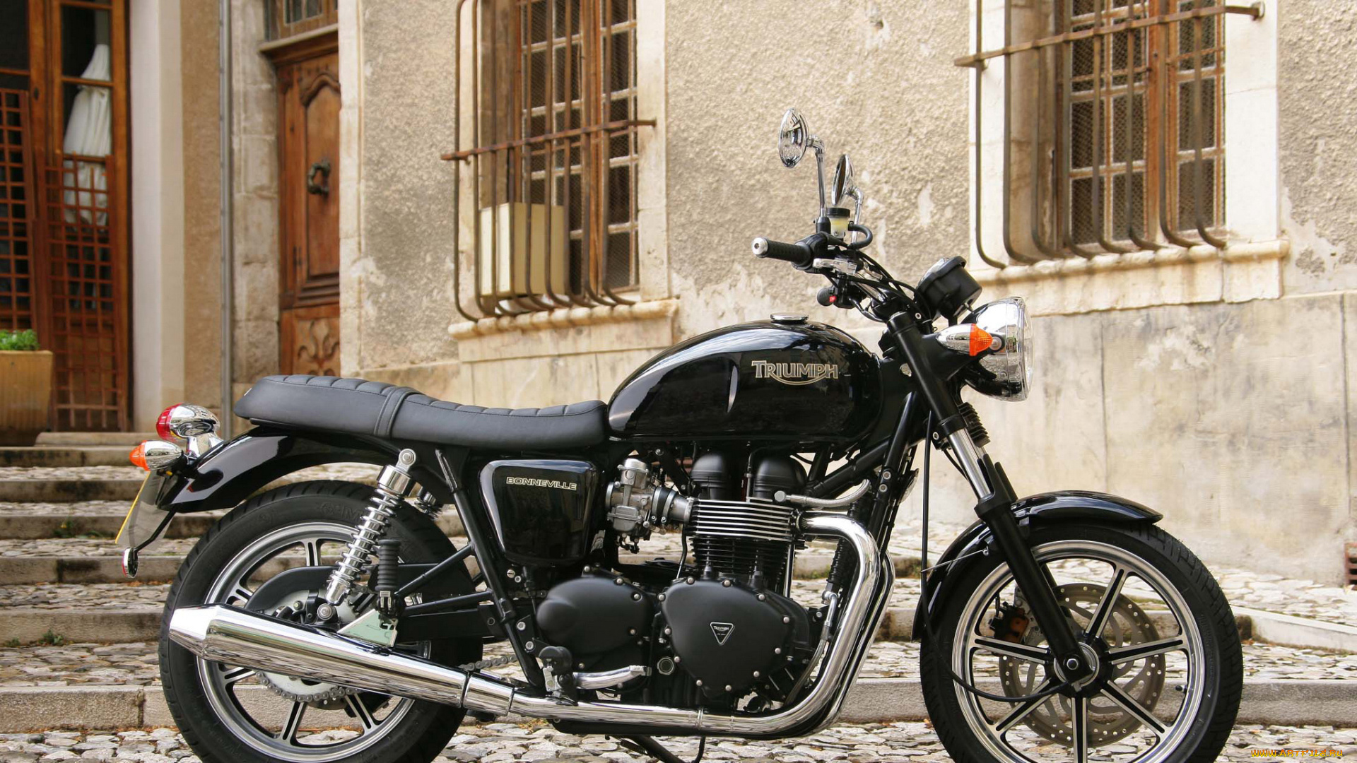 мотоциклы, triumph