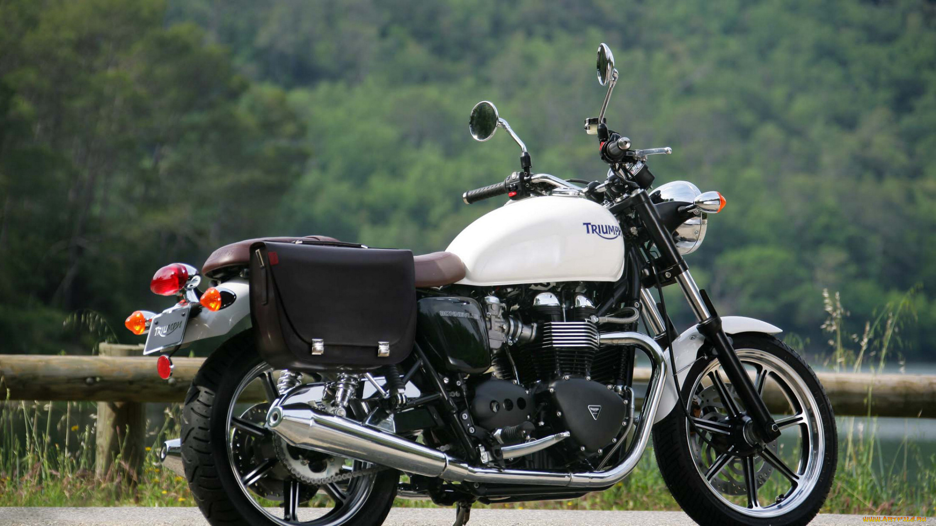 мотоциклы, triumph