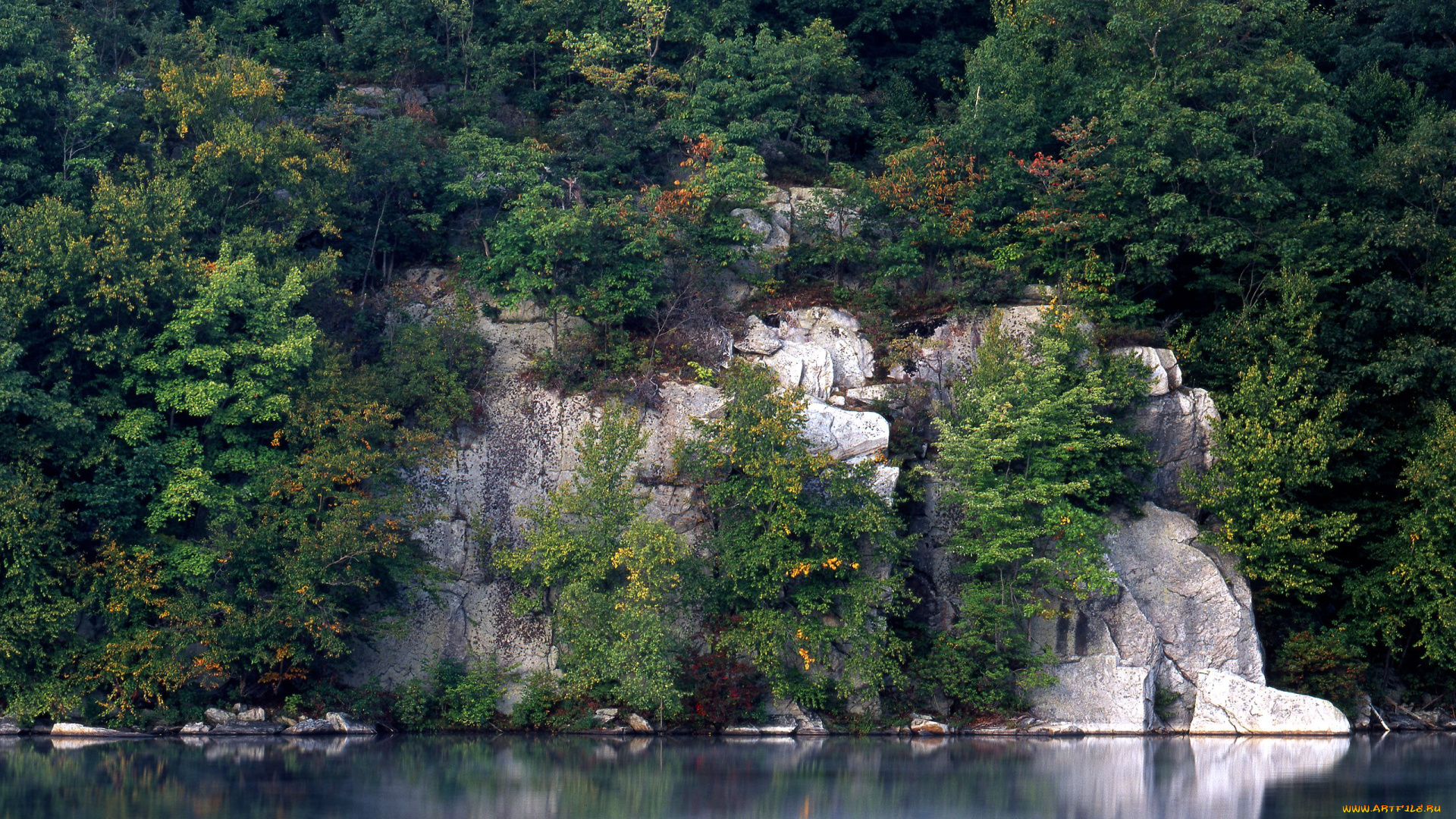 природа, деревья