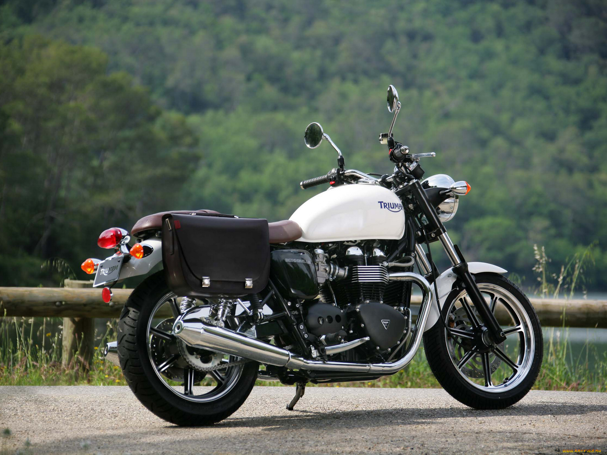 мотоциклы, triumph