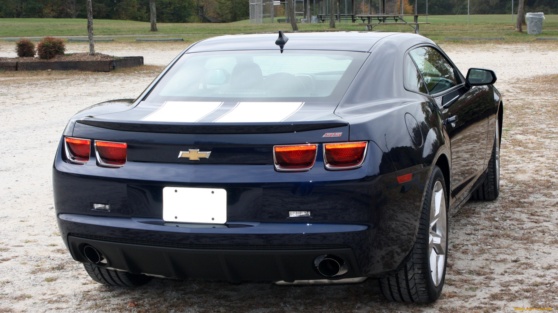 автомобили, camaro