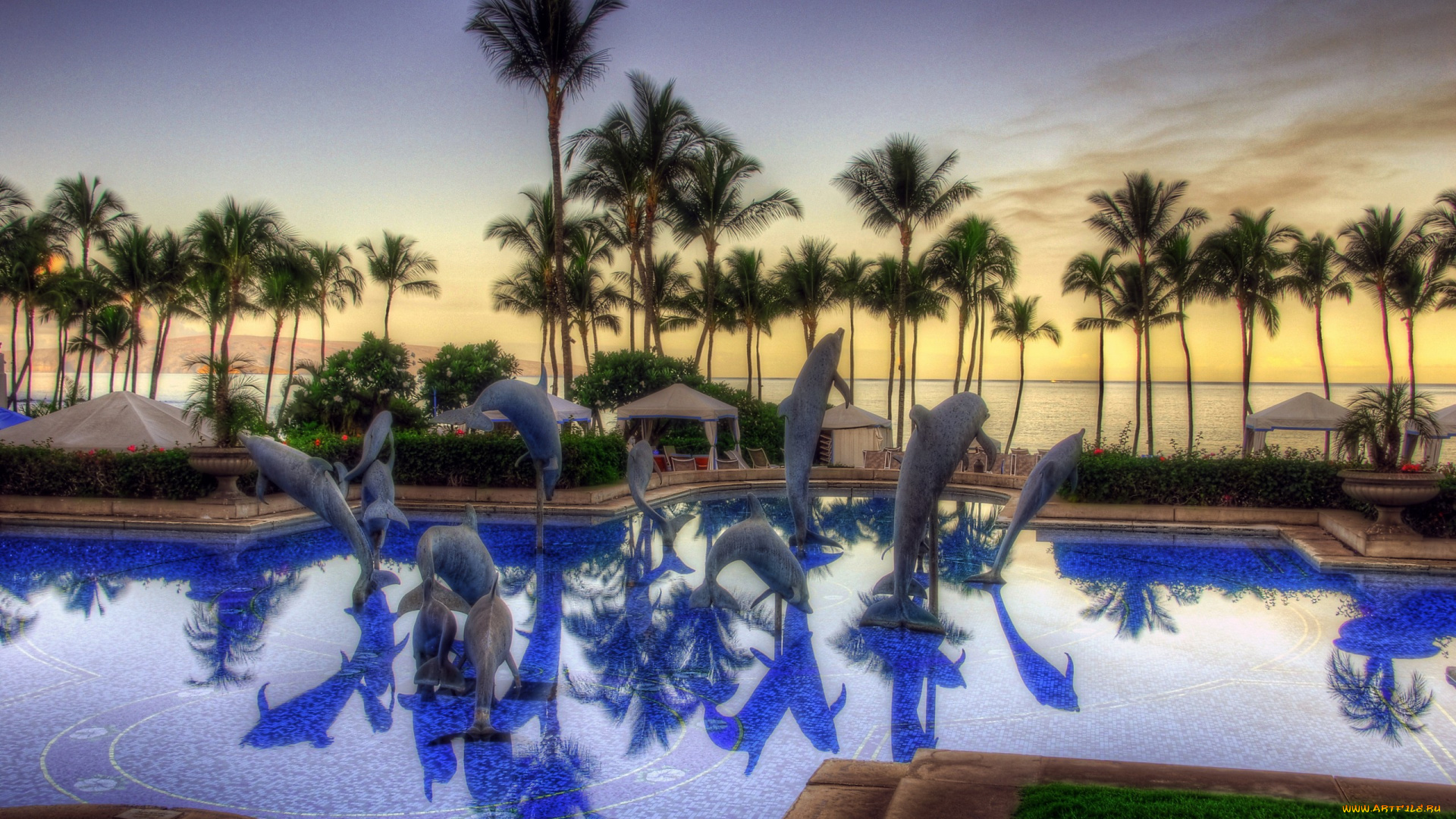 природа, тропики