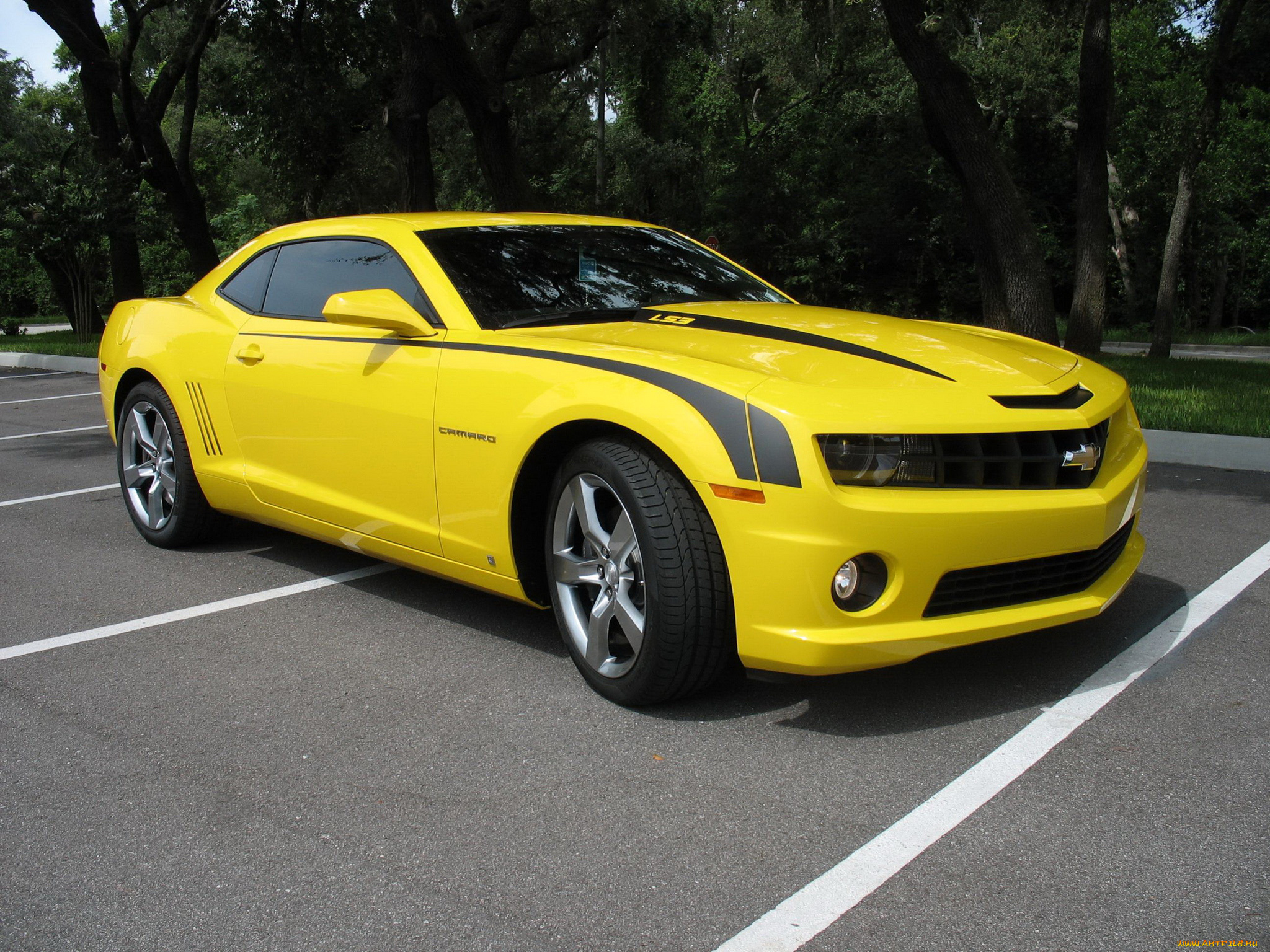 автомобили, camaro