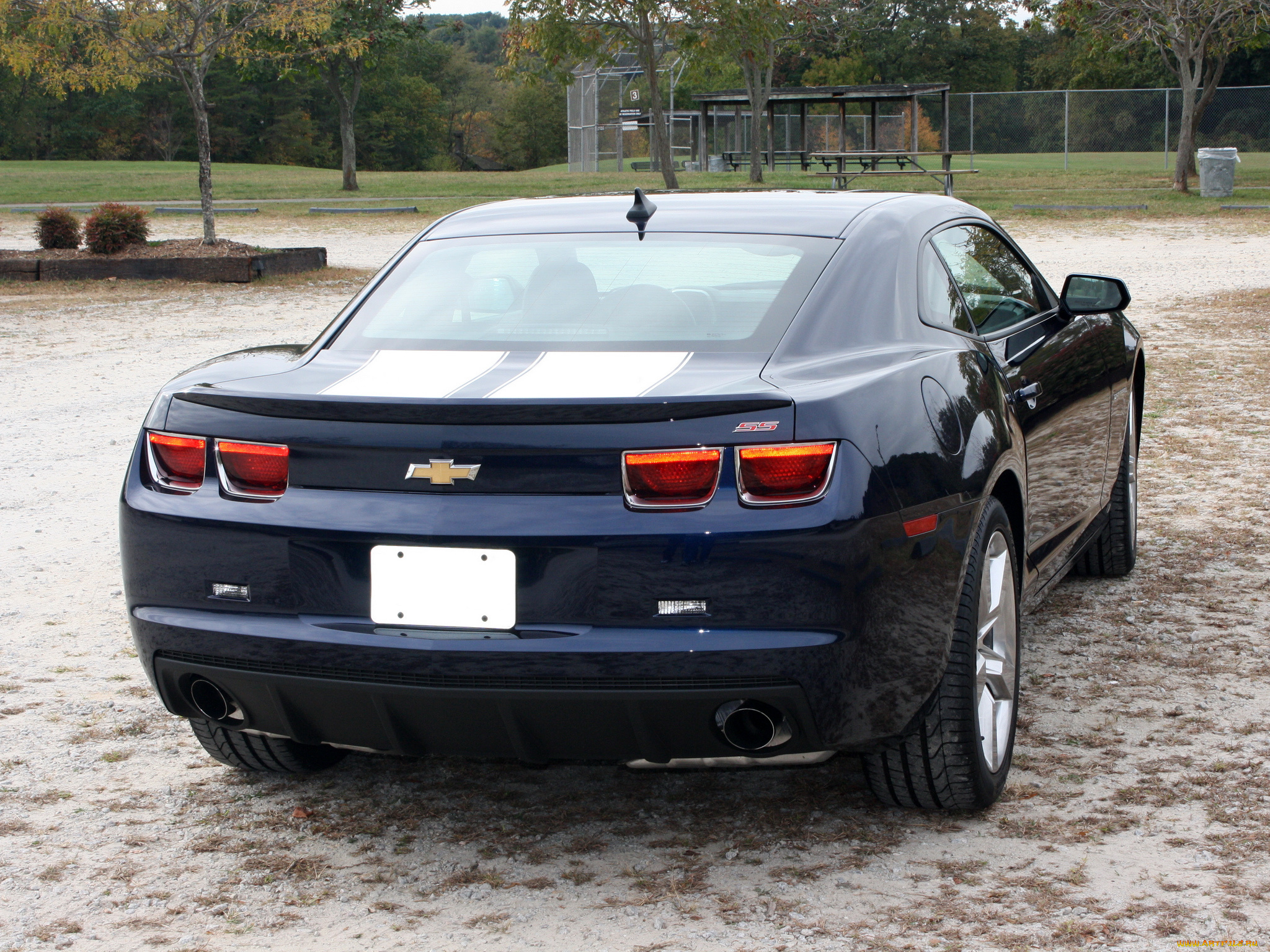 автомобили, camaro