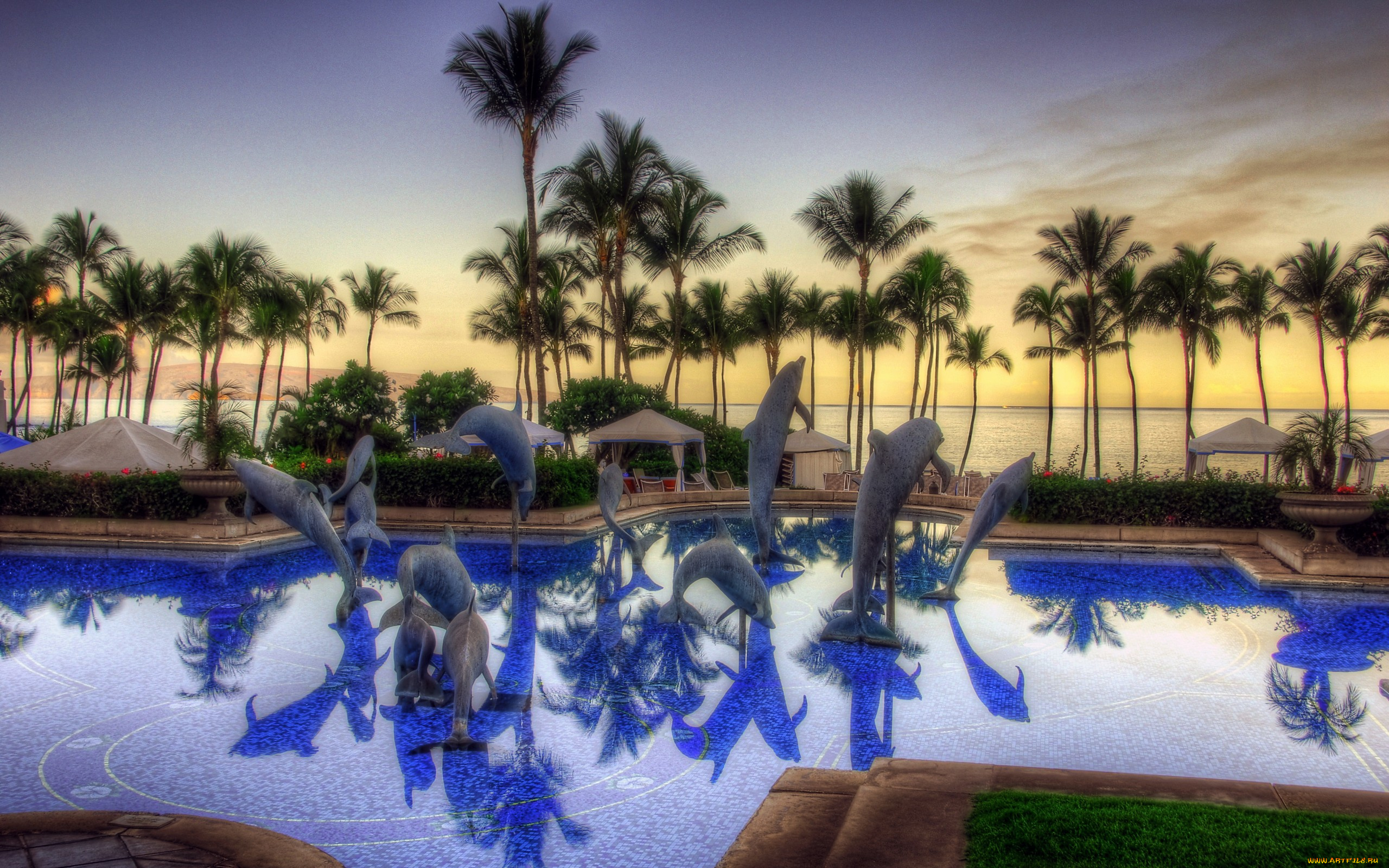 природа, тропики