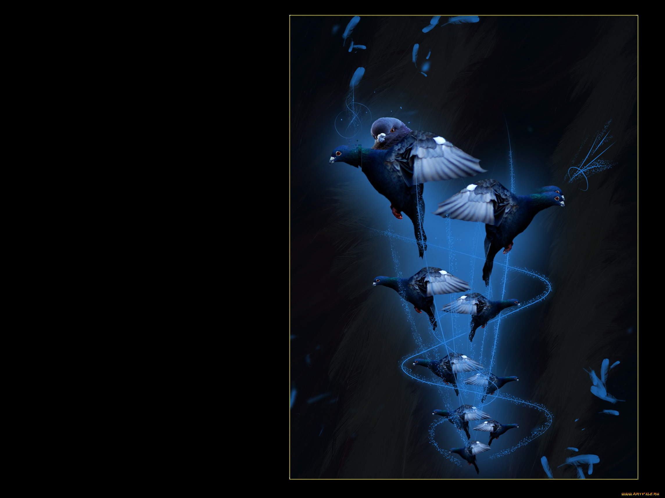 3д, графика, animals, животные, птицы, тёмный