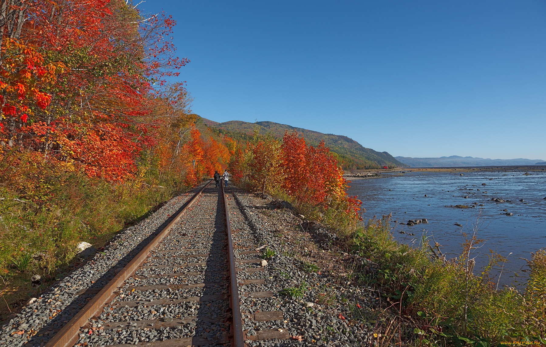 разное, транспортные, средства, магистрали, лес, река, рельсы, горы