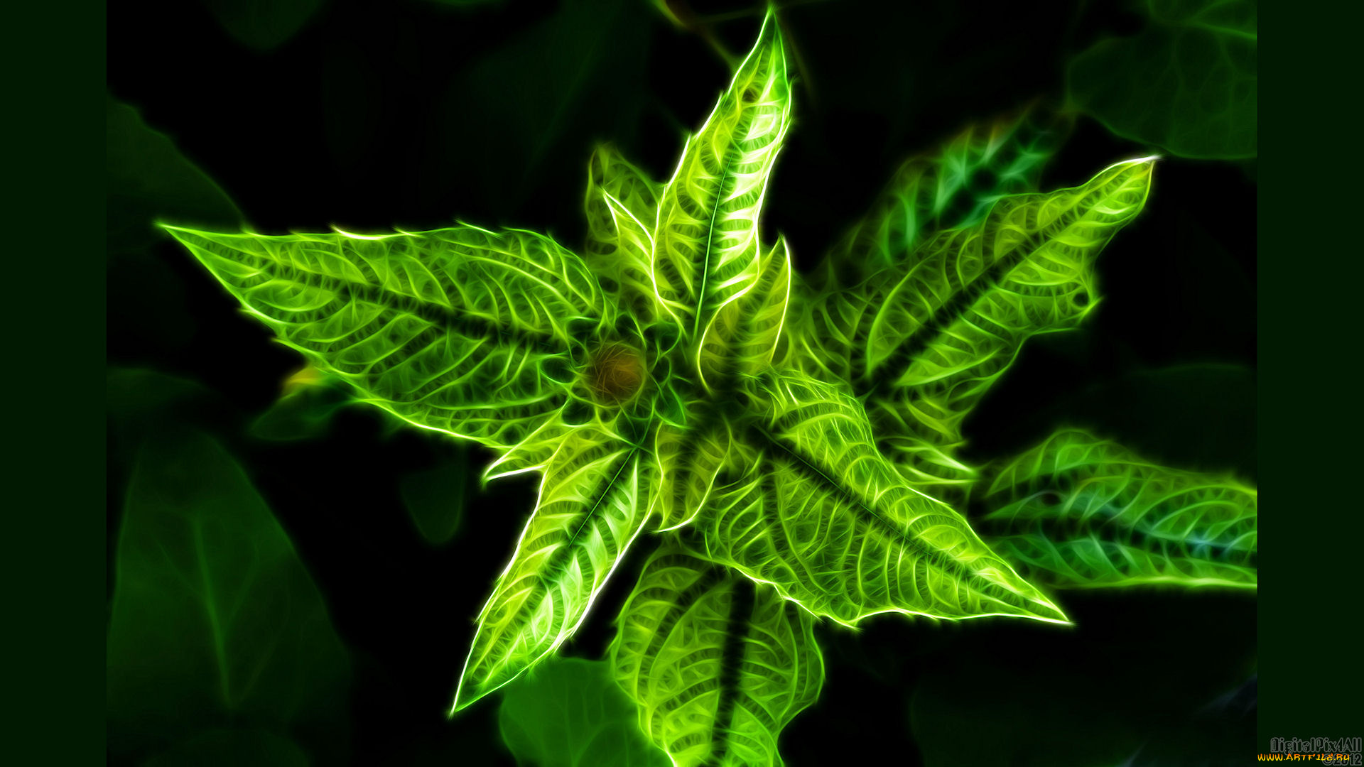 3д, графика, flowers, цветы, фон, цвета, узор