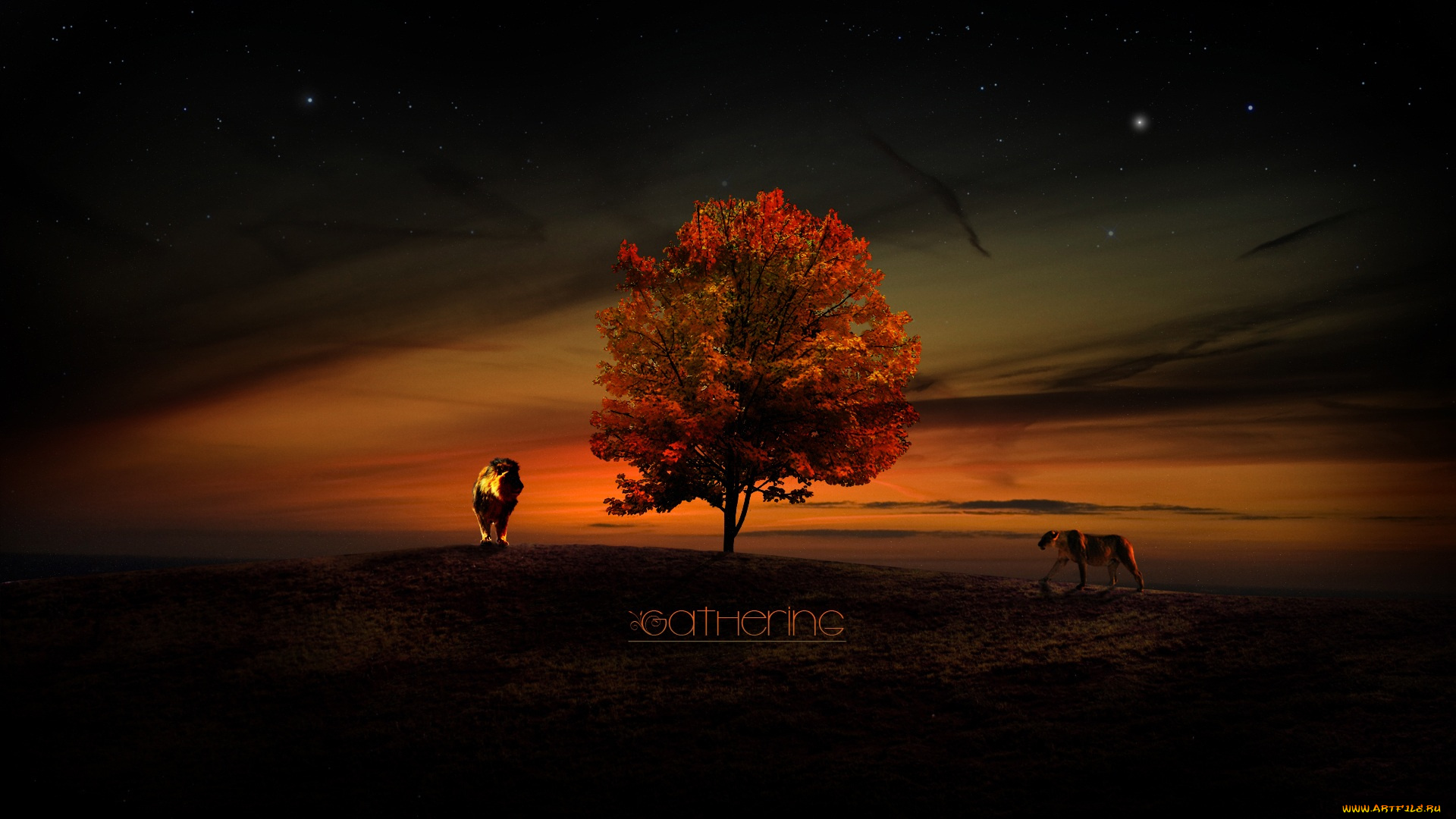 3д, графика, nature, landscape, природа, закат, львы, дерево