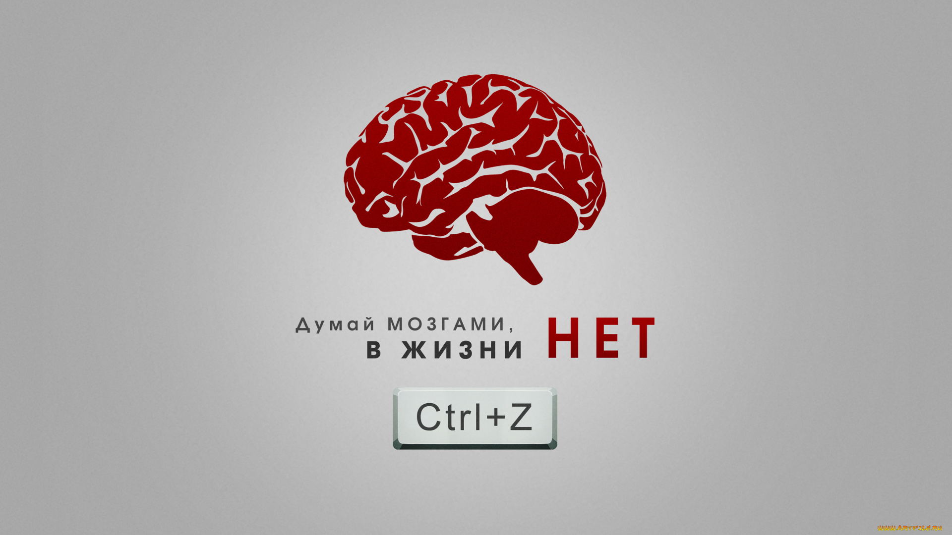 юмор, приколы, надпись