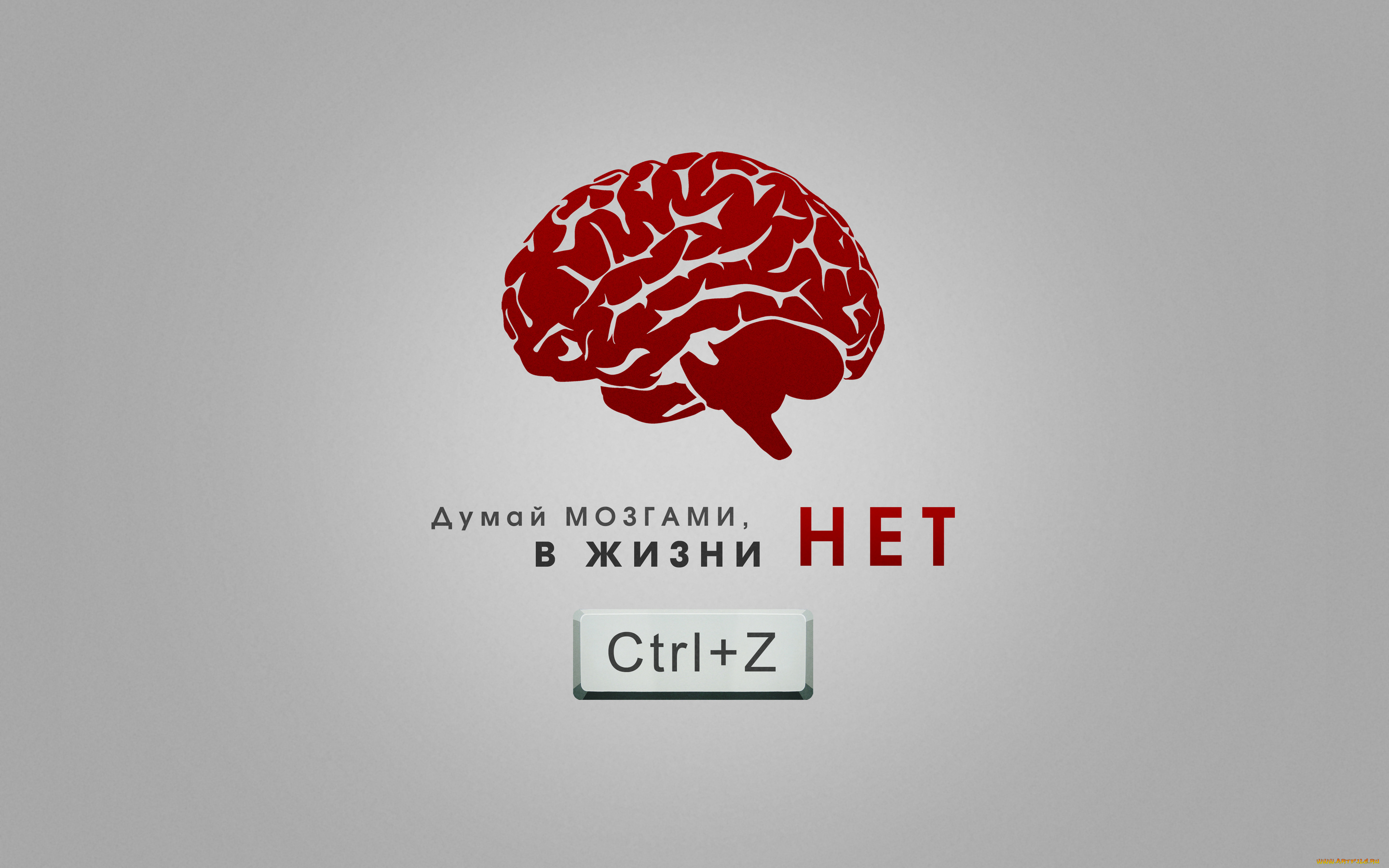 юмор, приколы, надпись