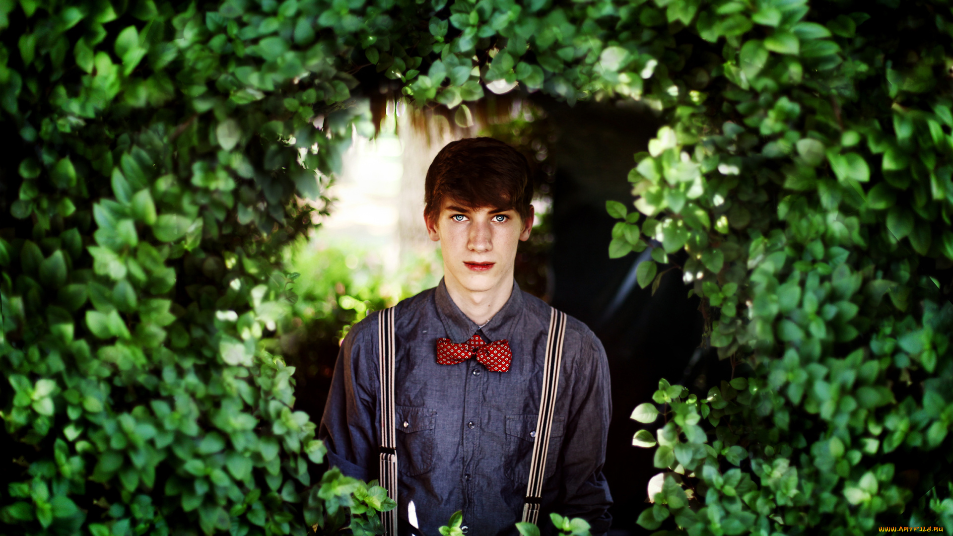 мужчины, unsort, бабочка, подтяжки