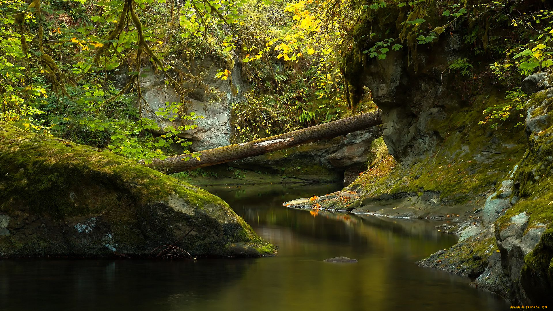 природа, реки, озера, речка, скалы, деревья