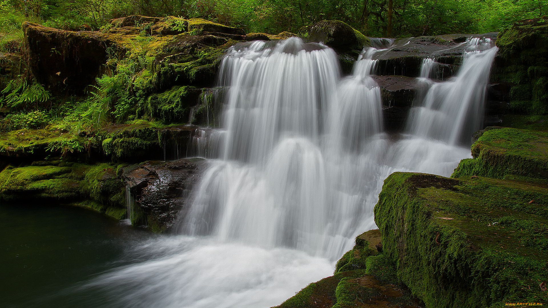 природа, водопады, деревья, скалы, мох