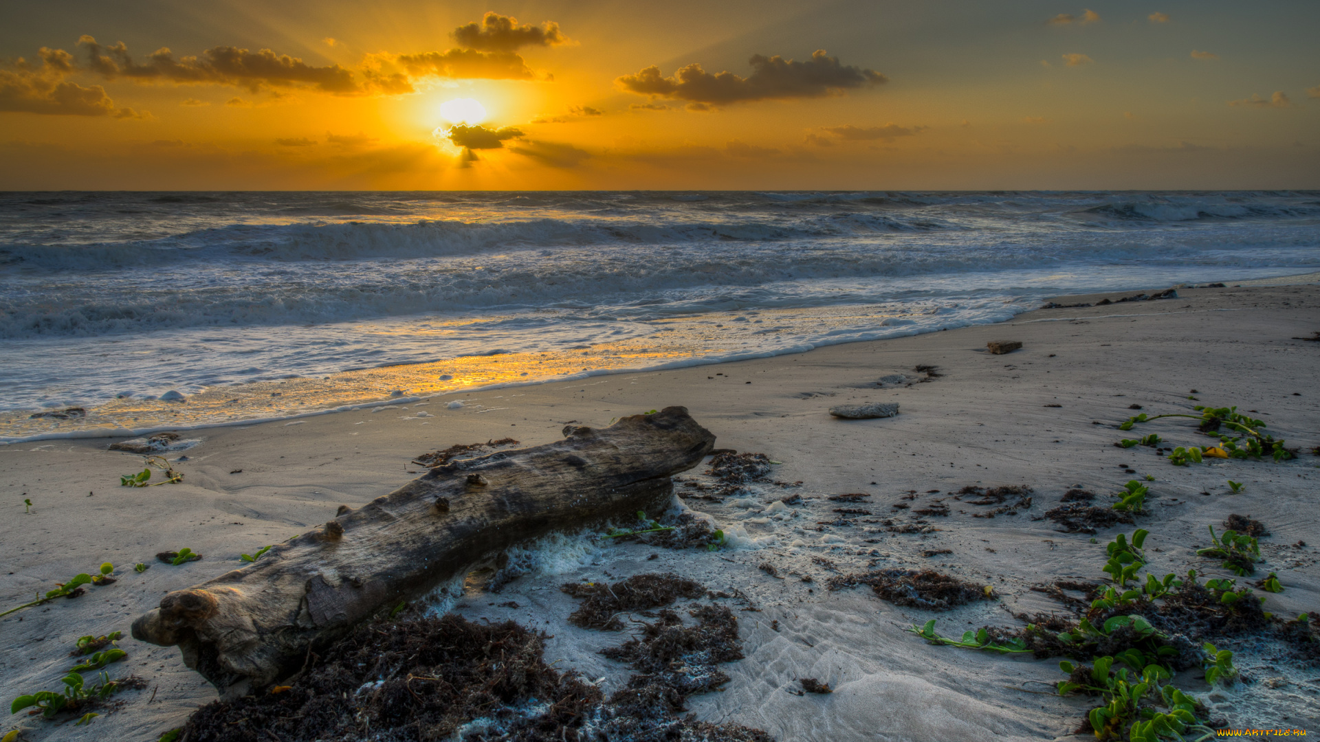 природа, восходы, закаты, пейзаж, берег, океан