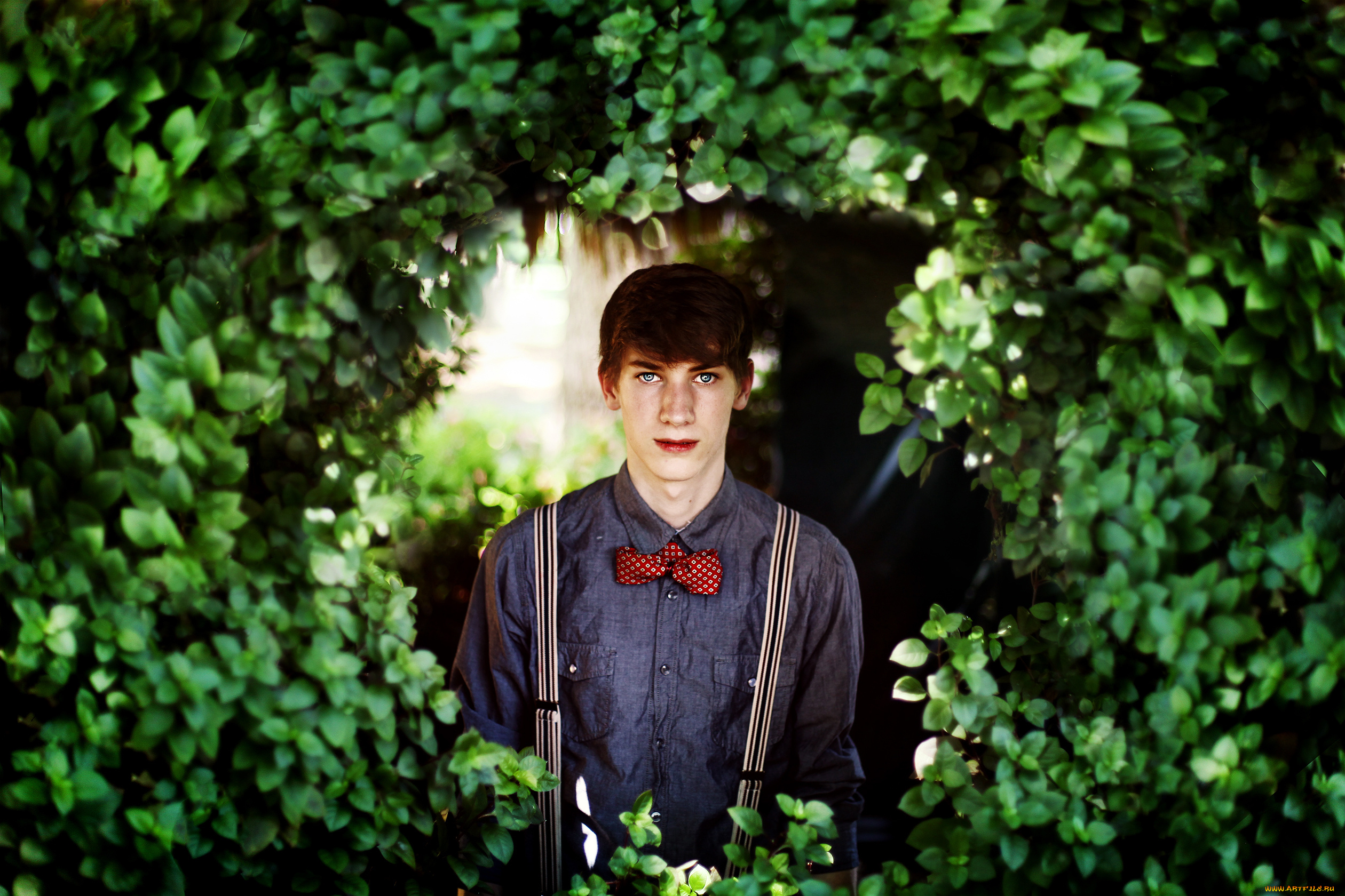 мужчины, unsort, бабочка, подтяжки