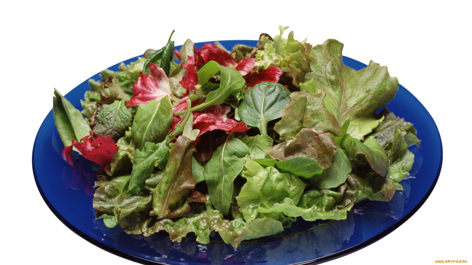 еда, салаты, , закуски, тарелка, салат, листья, руккола