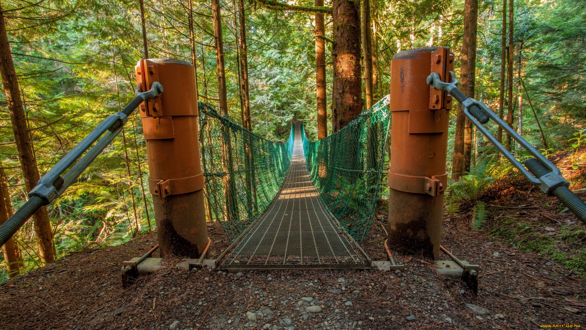 природа, дороги, мостик, лес