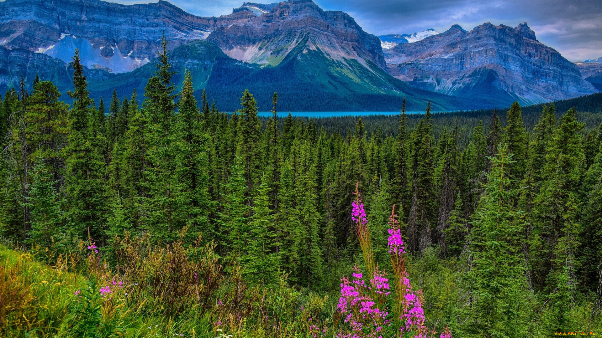 природа, горы, hector, lake, waputik, range, canadian, rockies, jasper, national, park, alberta, canada, озеро, гектор, хребет, вапутик, скалистые, национальный, парк, джаспер, альберта, канада, лес