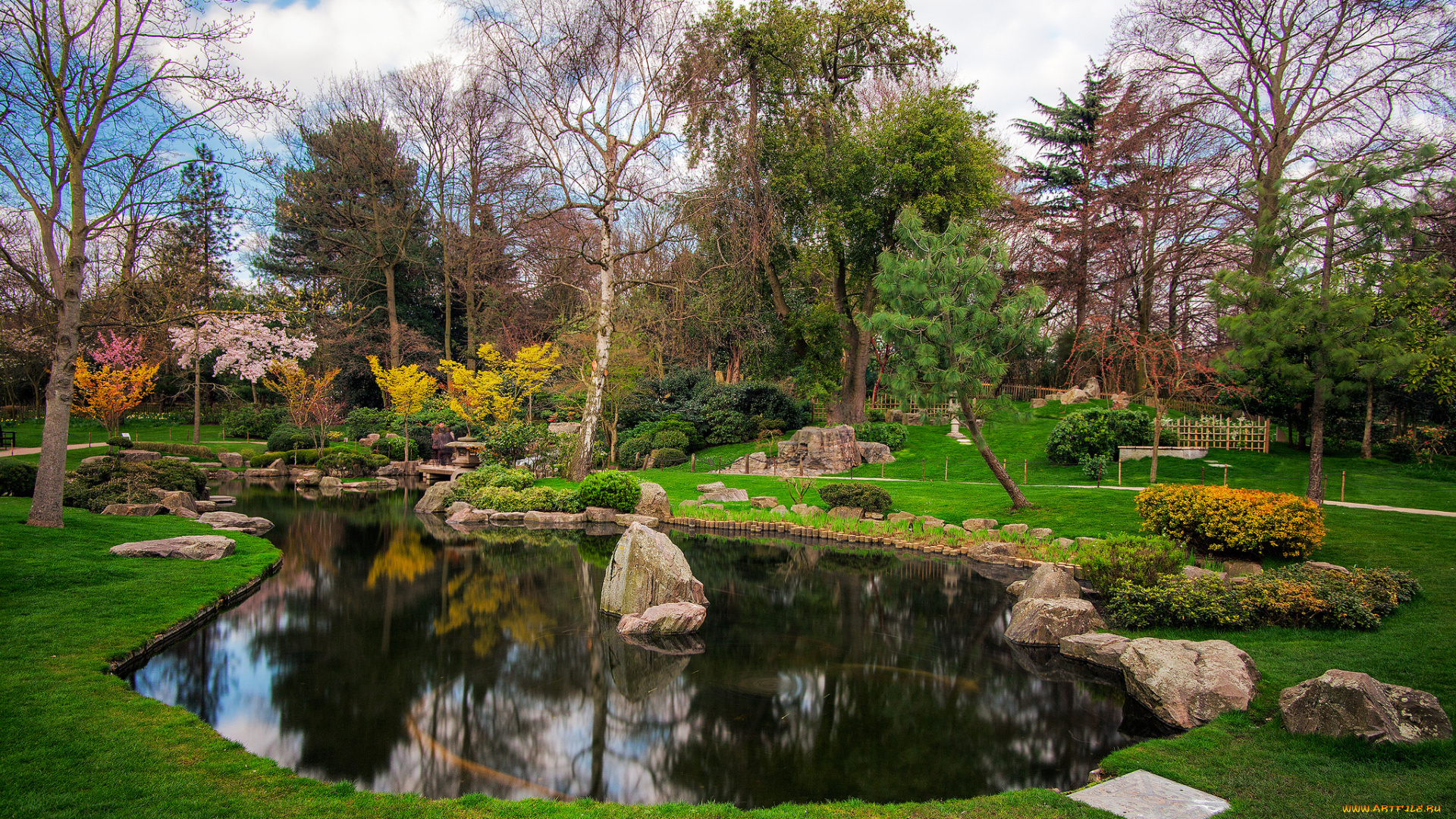 природа, парк, деревья, пруд, осень