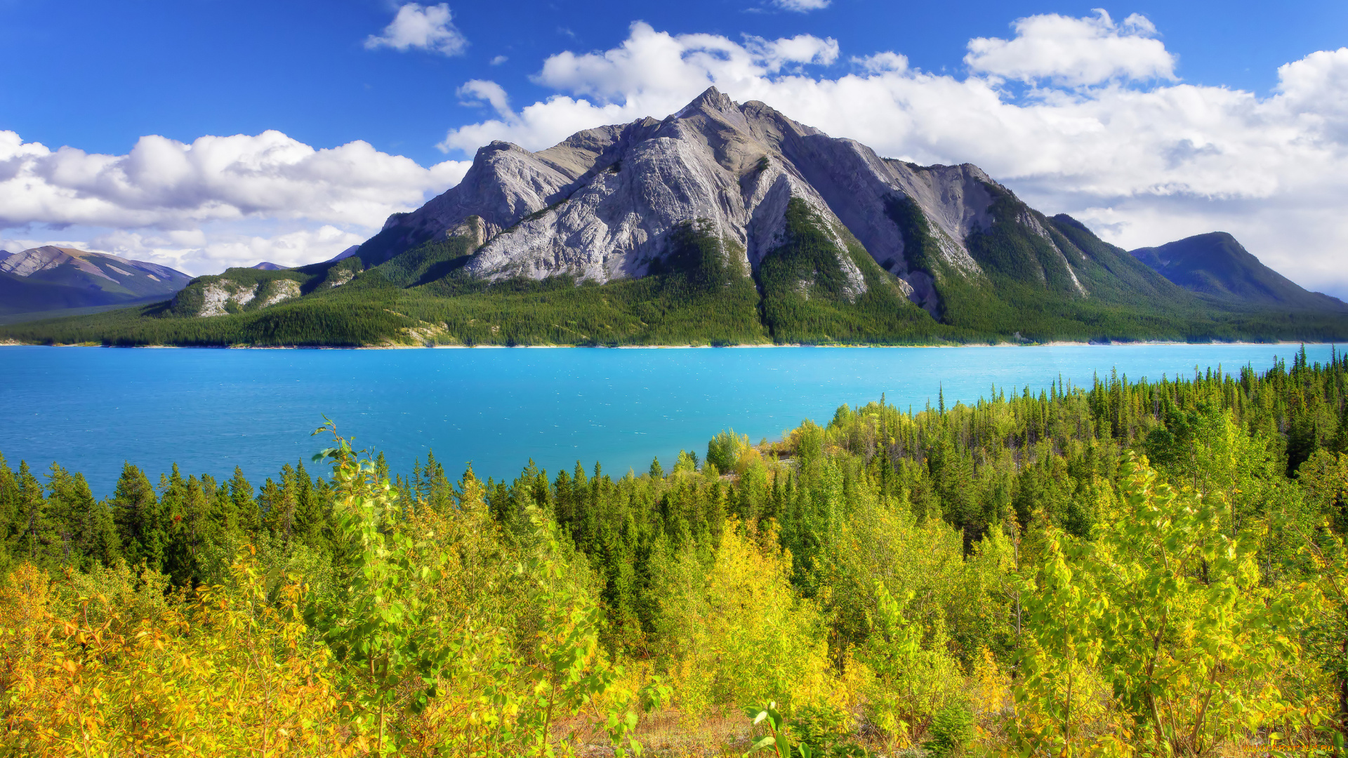 природа, реки, озера, abraham, lake, листья, осень, деревья, лес, озеро, горы, небо, канада, alberta, banff