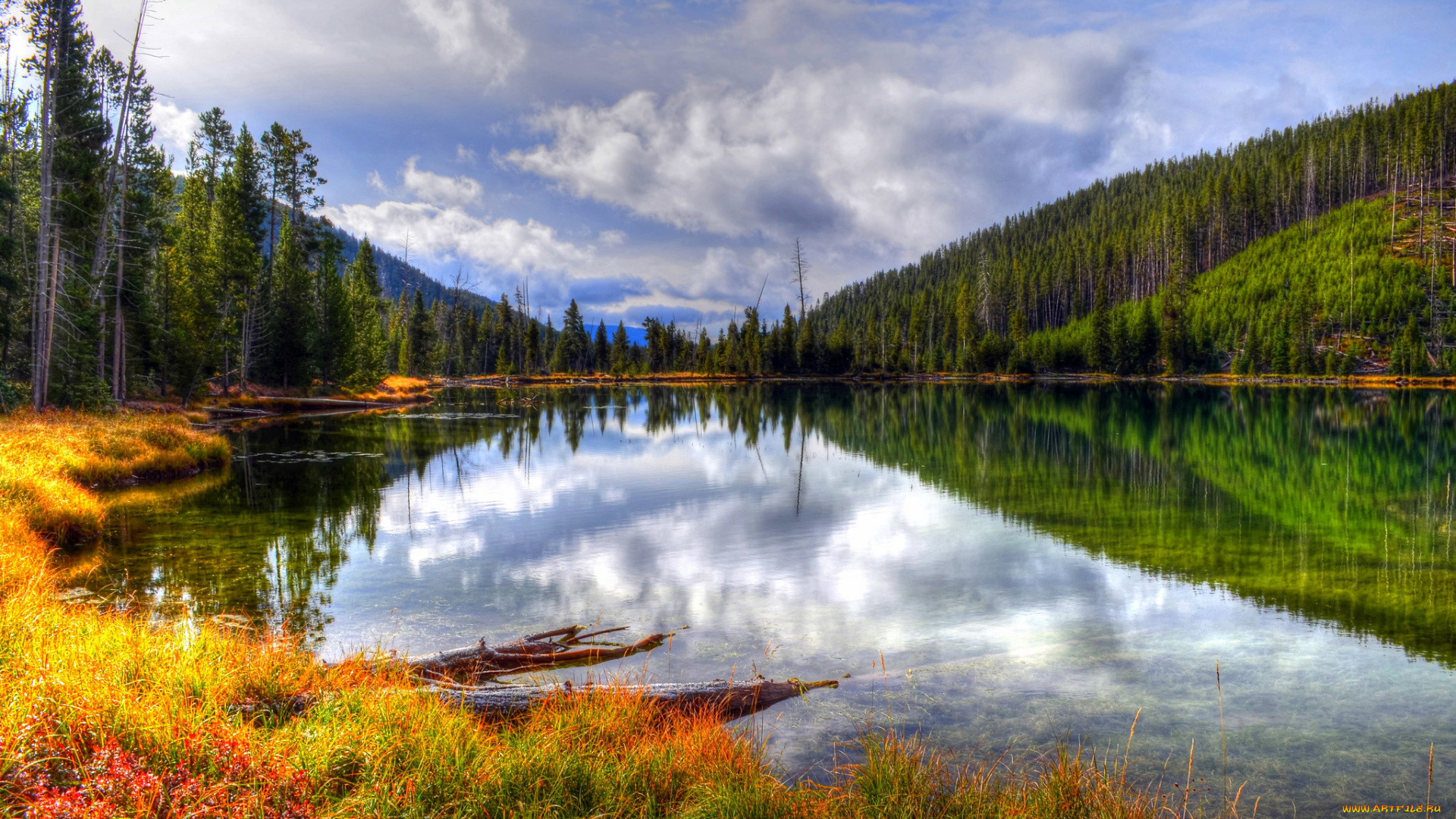 природа, реки, озера, горы, река, лес