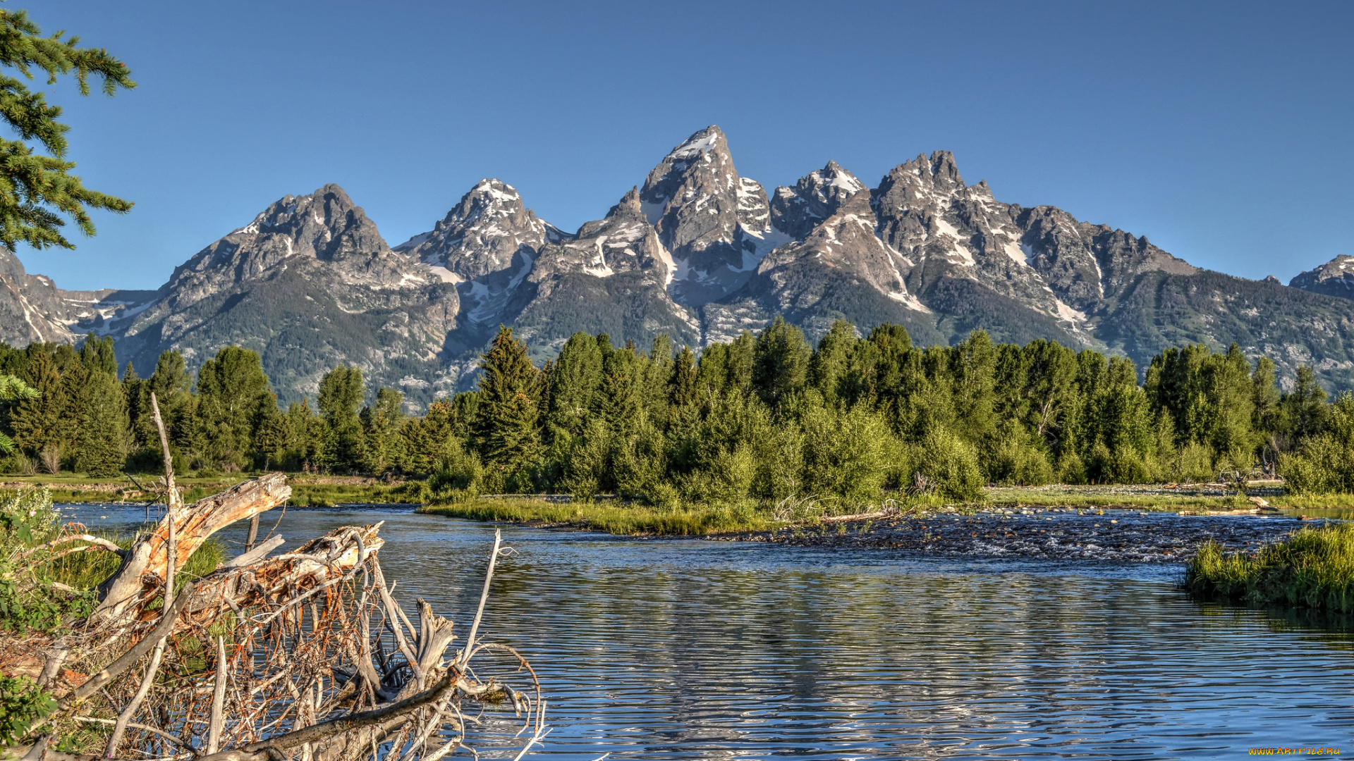 природа, реки, озера, лес, горы, река