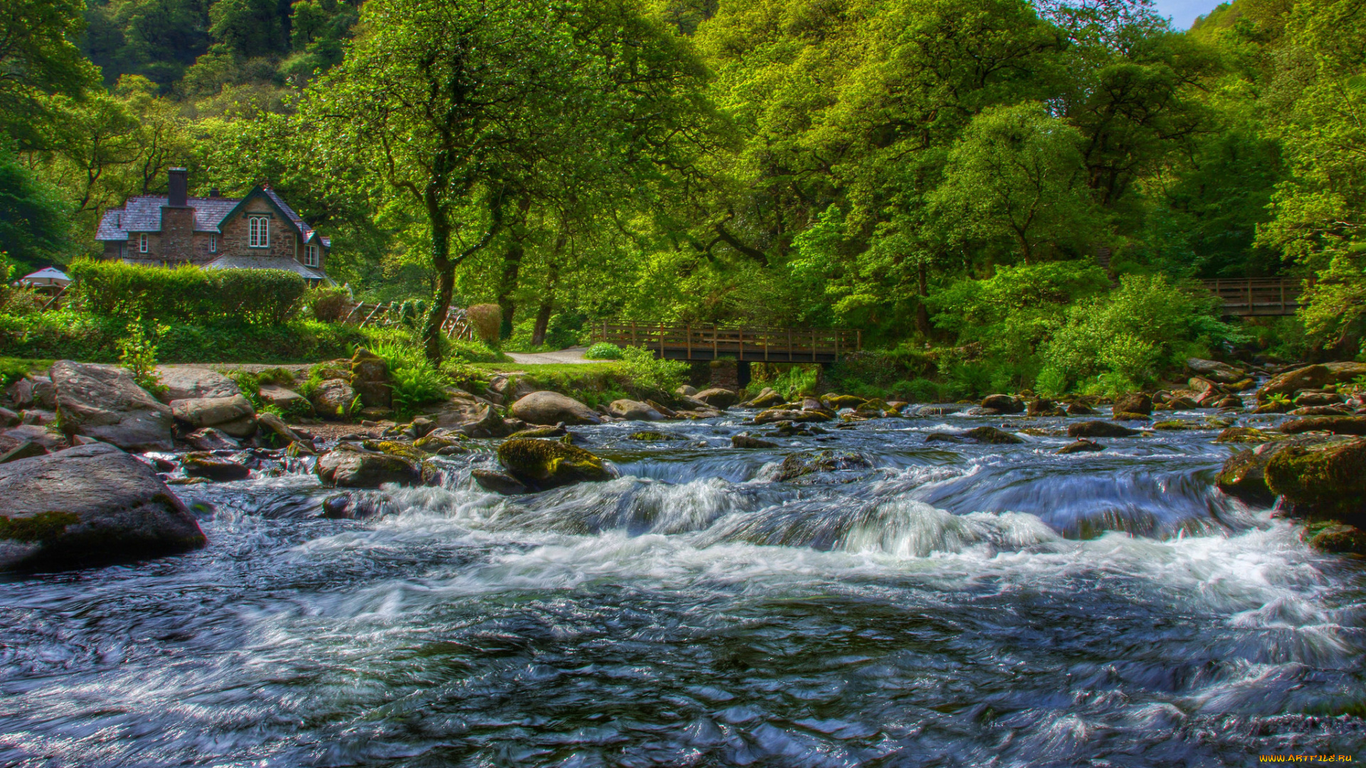 природа, реки, озера, река