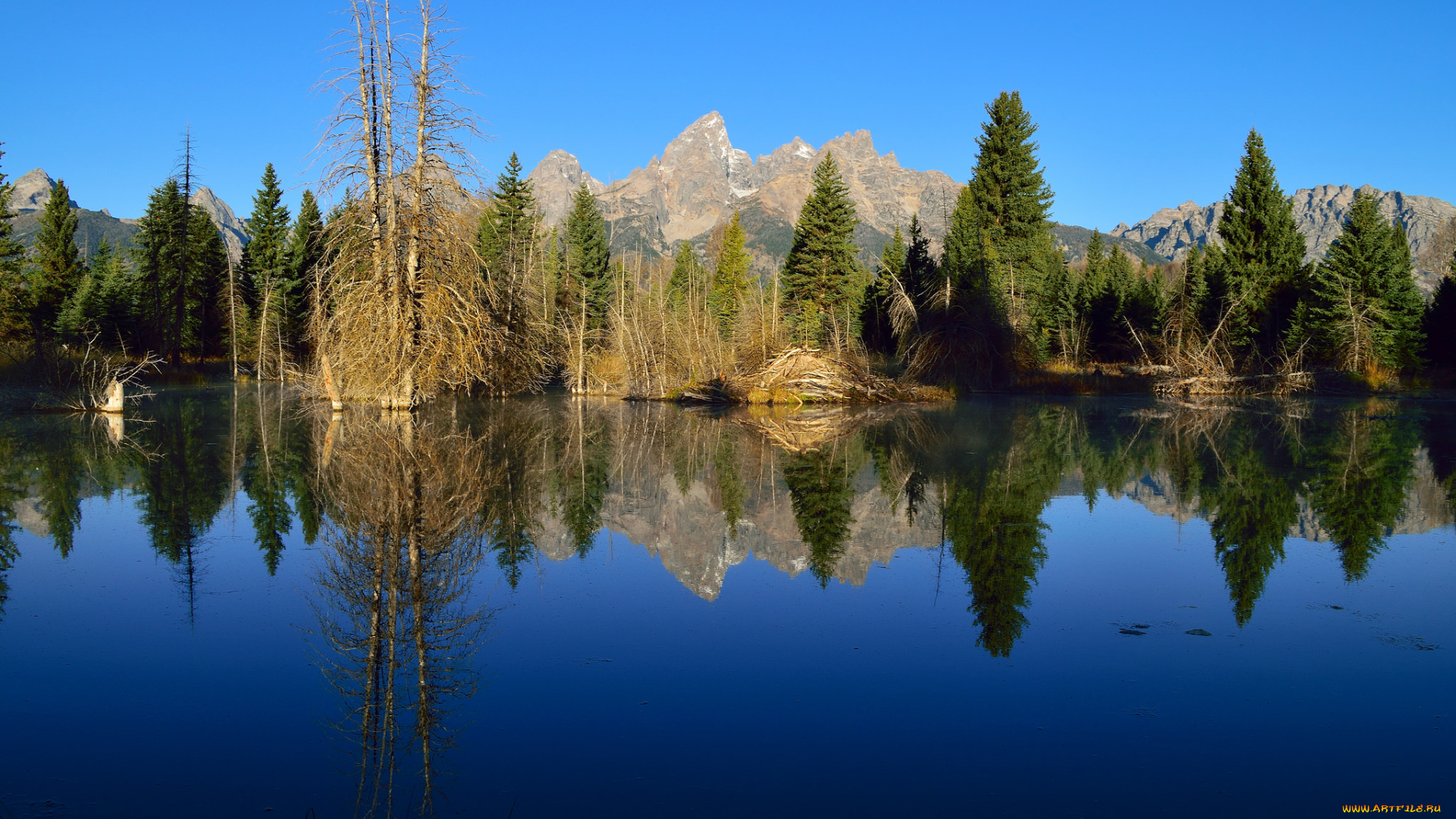 природа, реки, озера, река, лес, горы