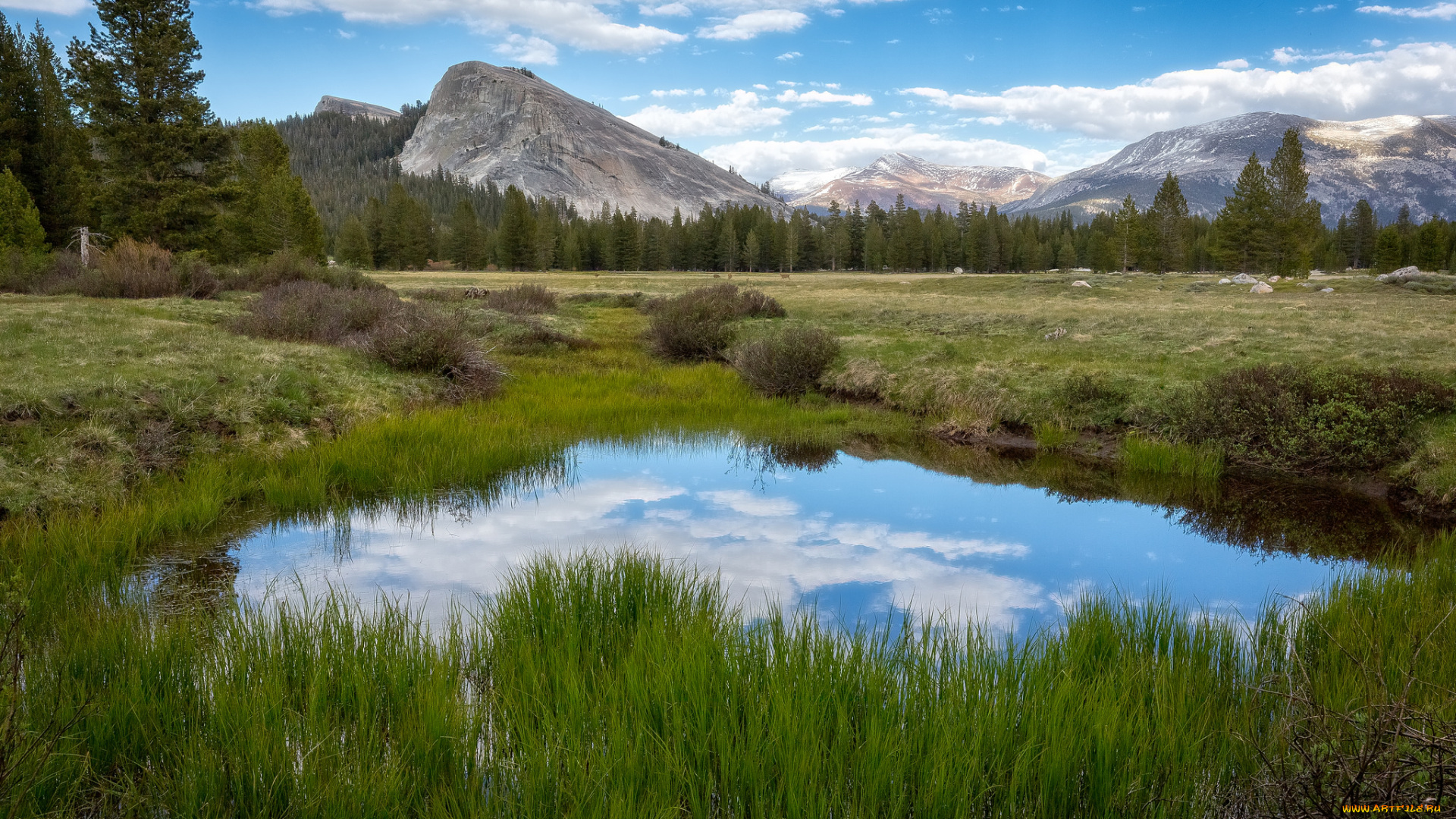 природа, реки, озера, река, лес, горы