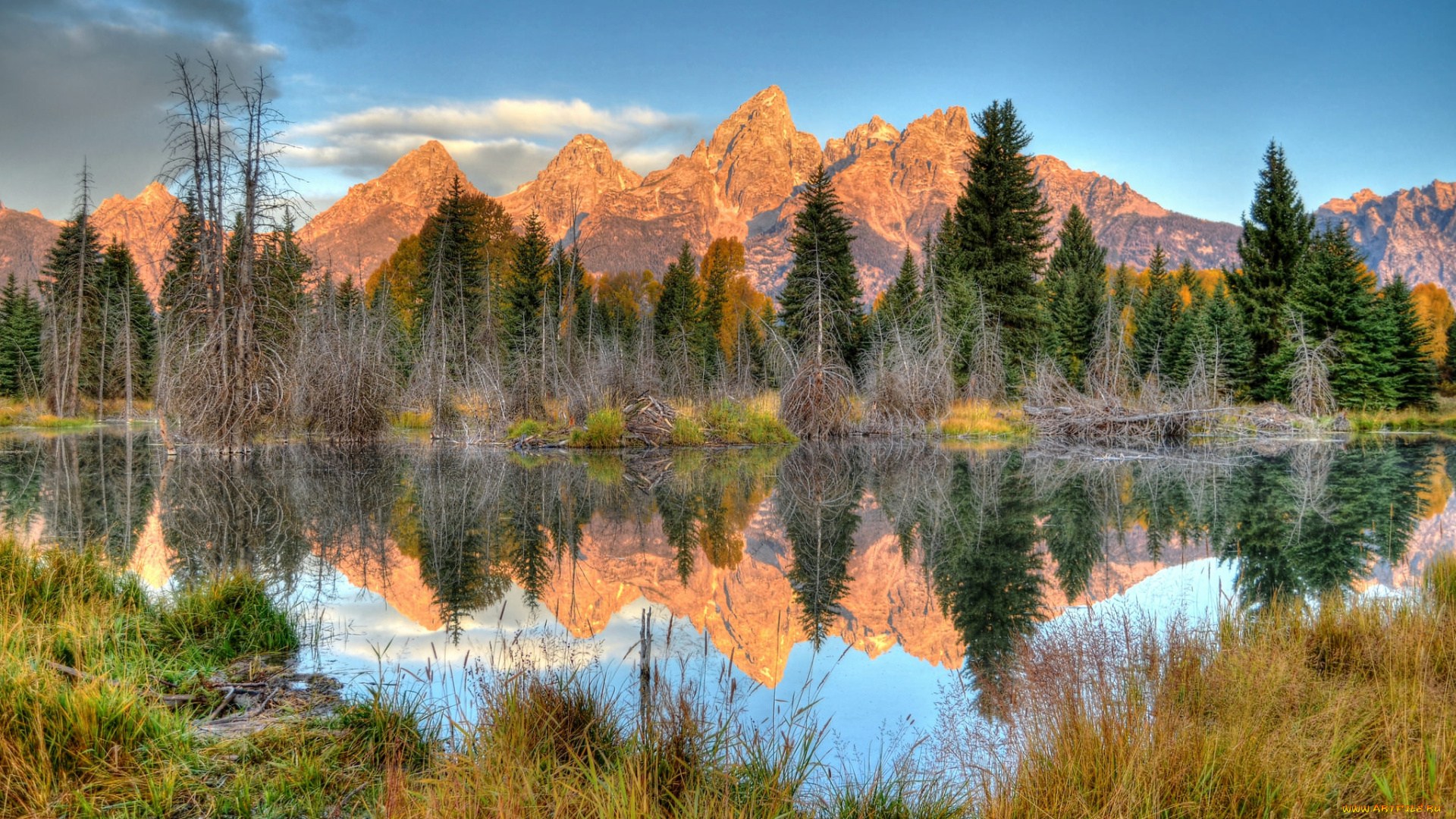 природа, реки, озера, река, лес, горы