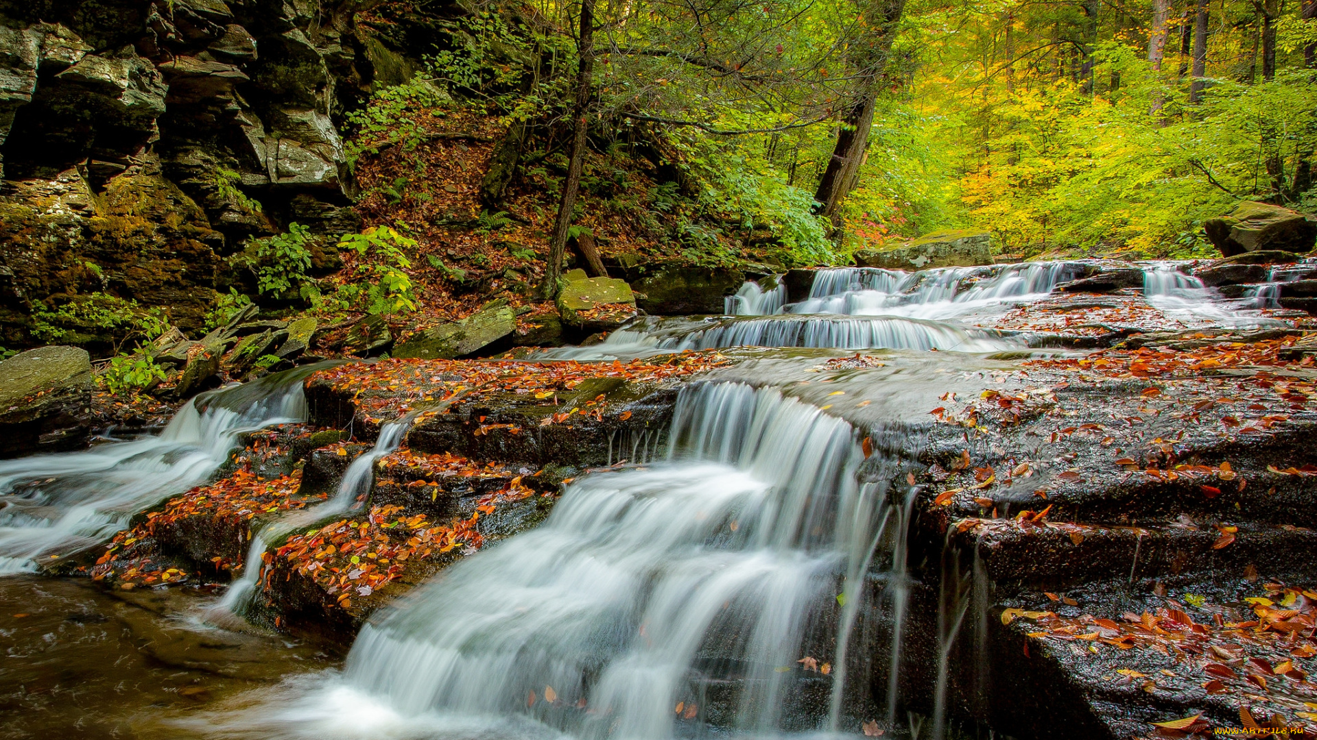 природа, водопады, лес, водопад, река