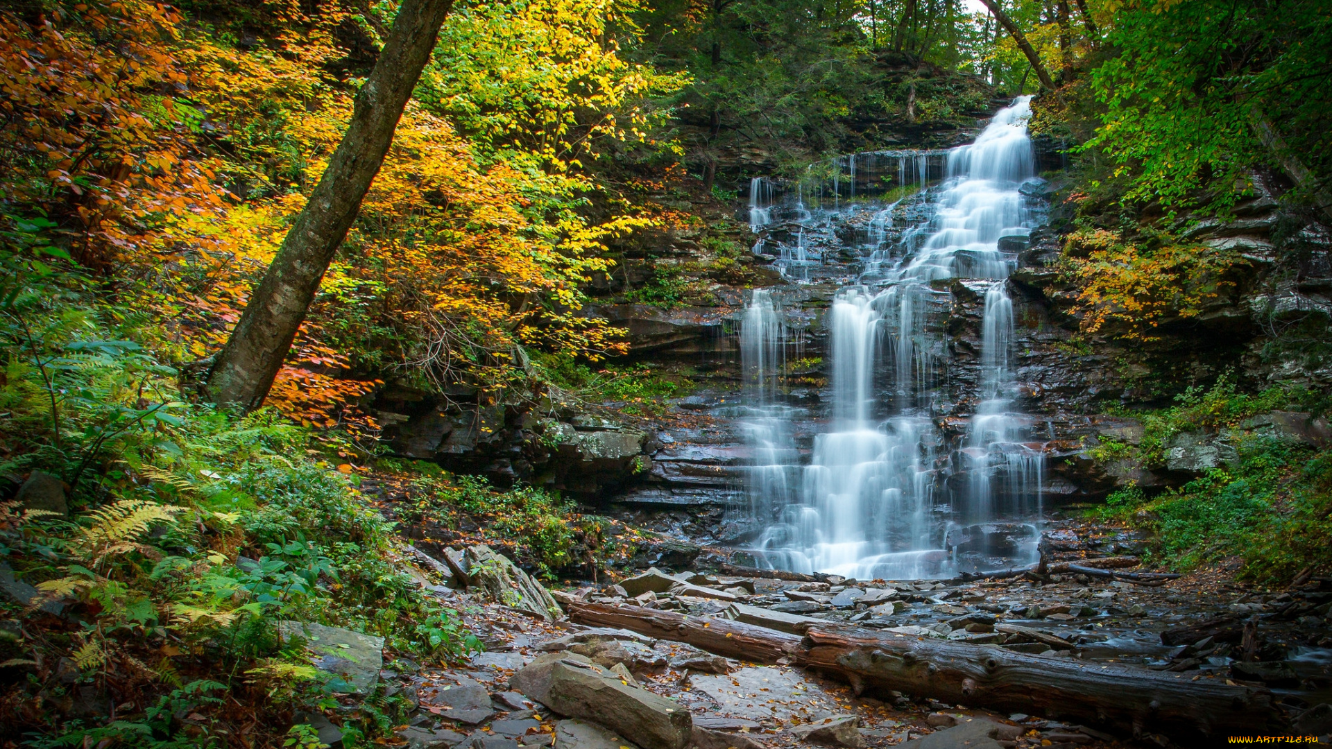 природа, водопады, водопад, река, лес