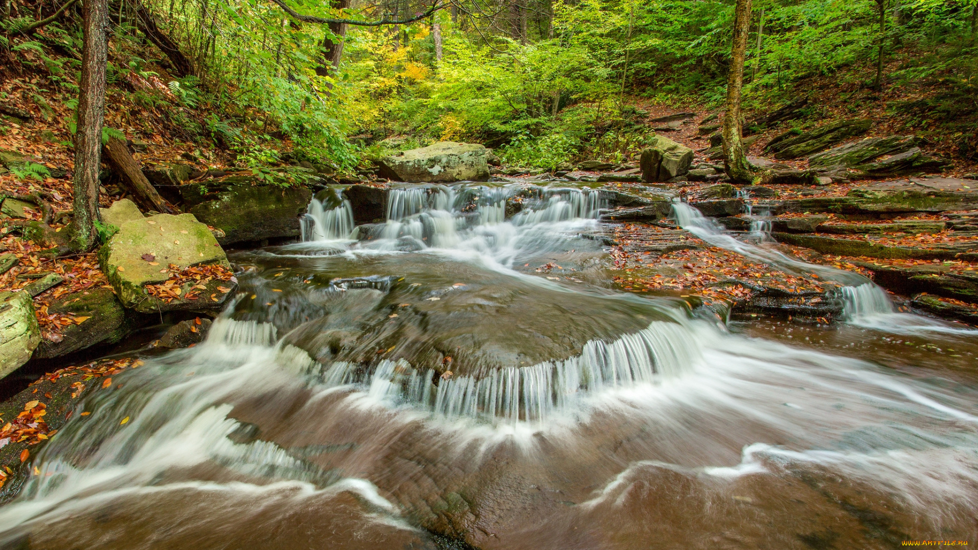природа, водопады, водопад, река, лес