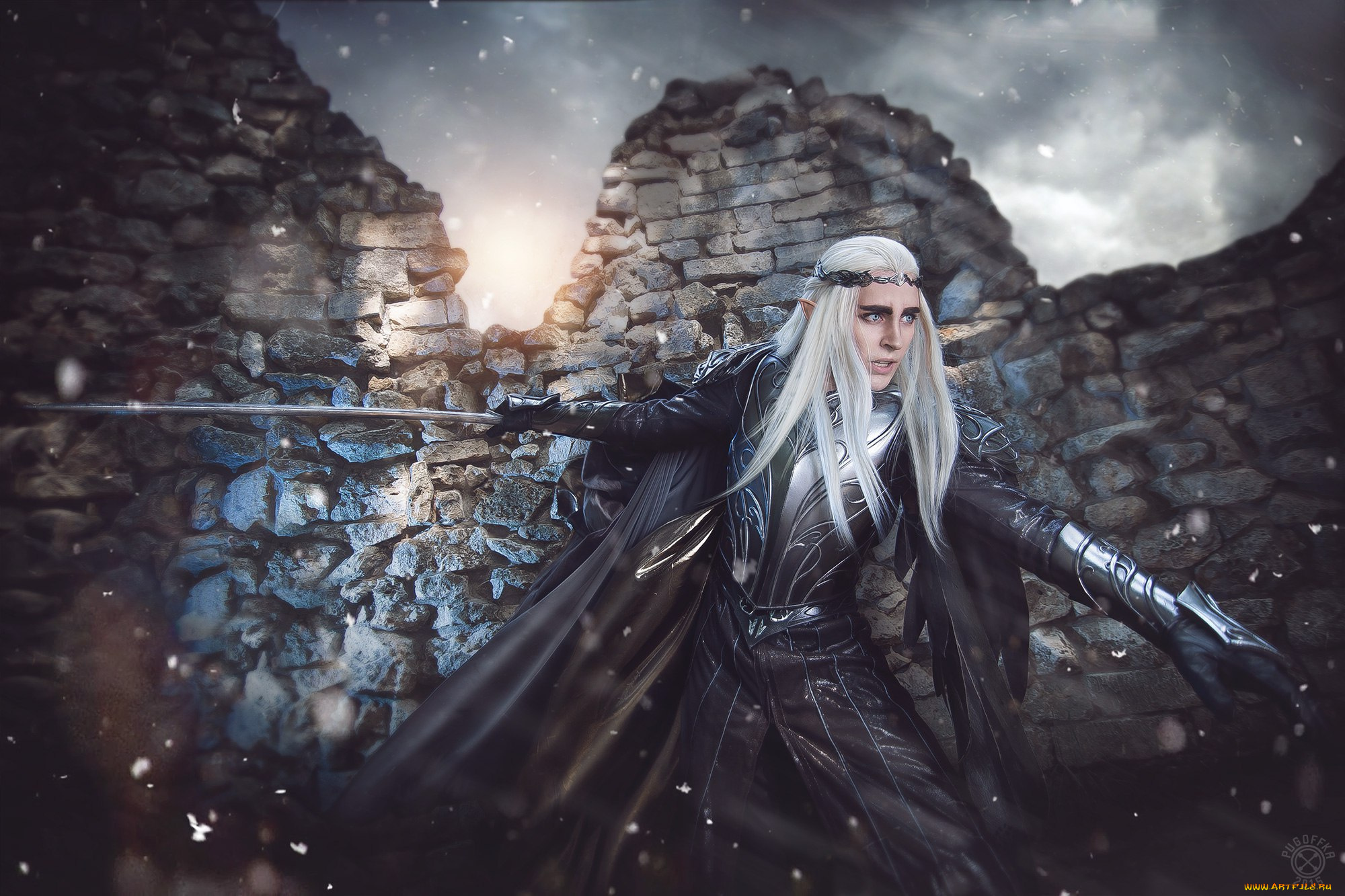 разное, cosplay, , косплей, хоббит, король, эльфов