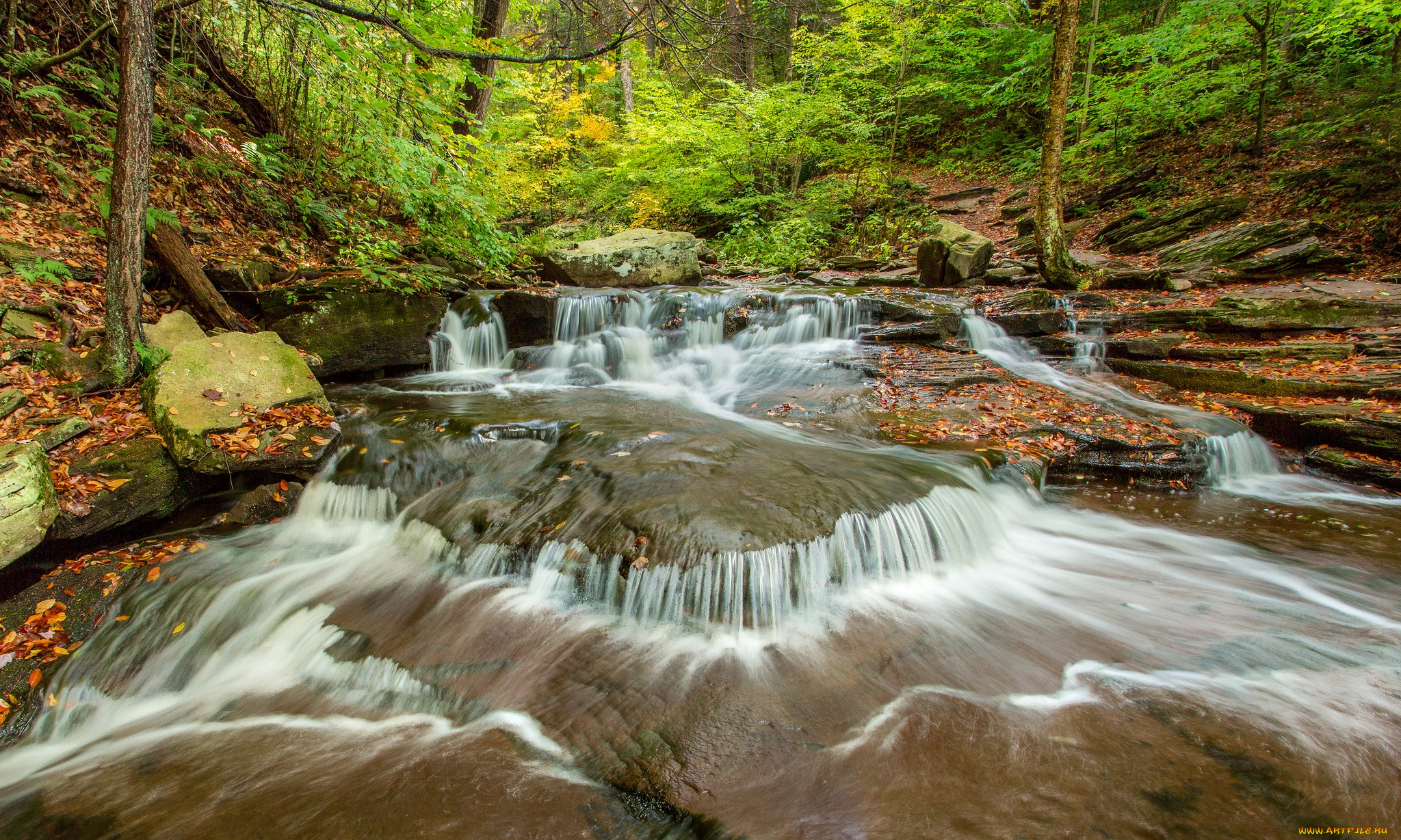 природа, водопады, водопад, река, лес