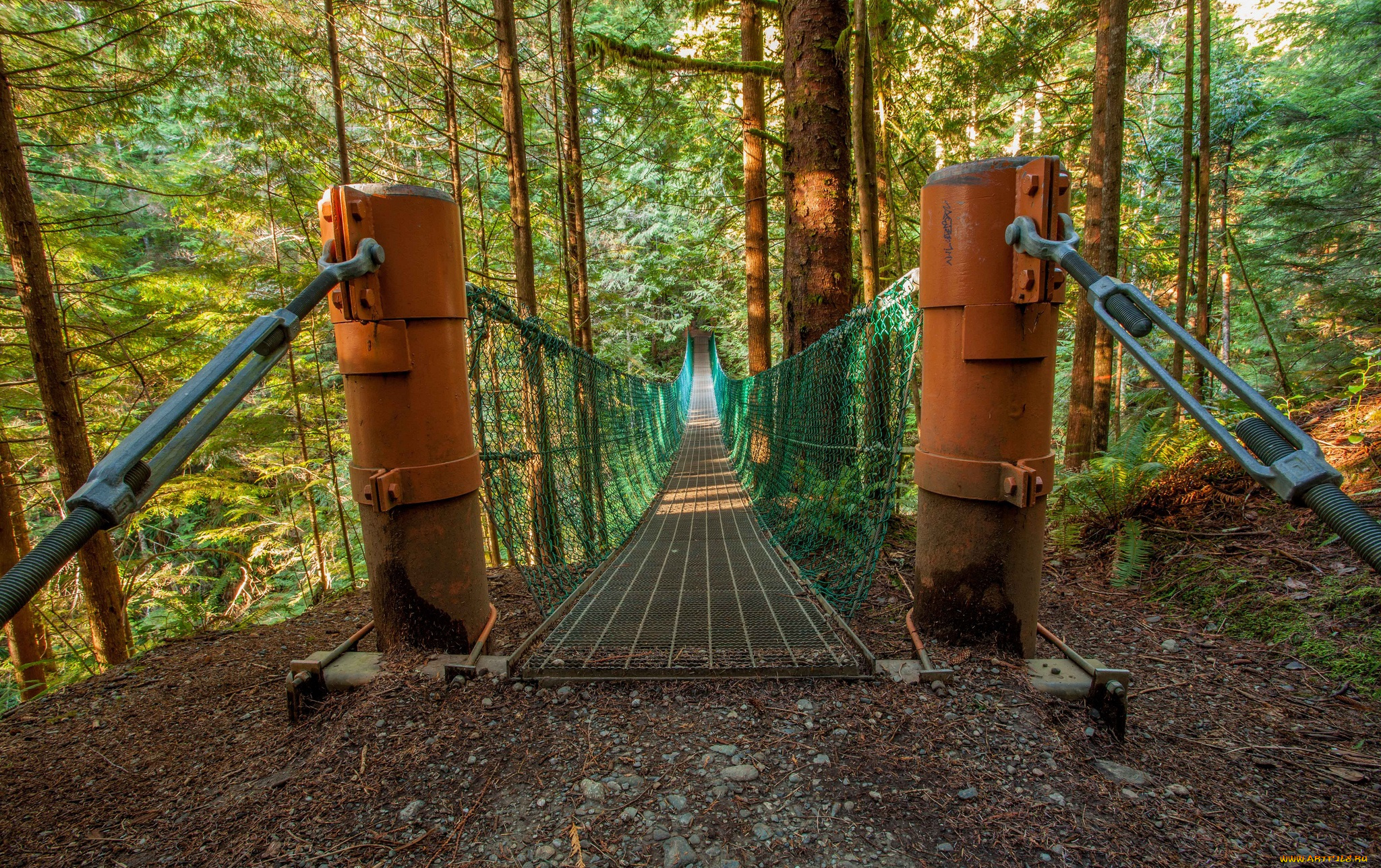 природа, дороги, мостик, лес