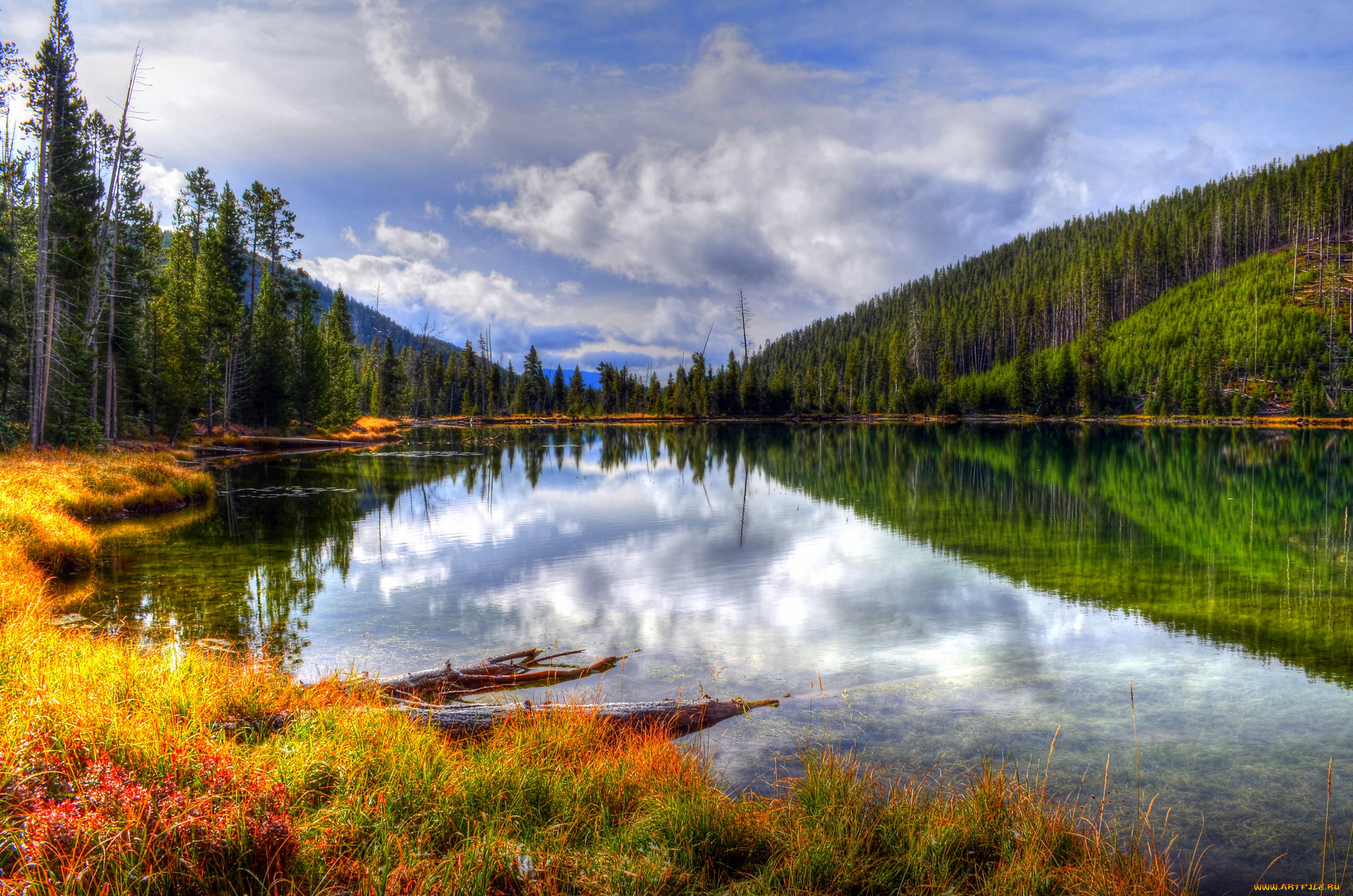 природа, реки, озера, горы, река, лес