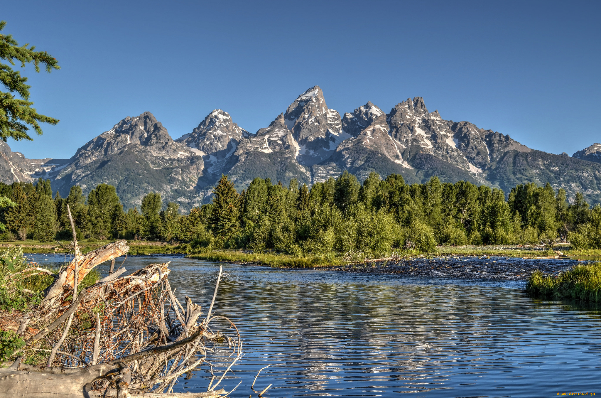 природа, реки, озера, лес, горы, река