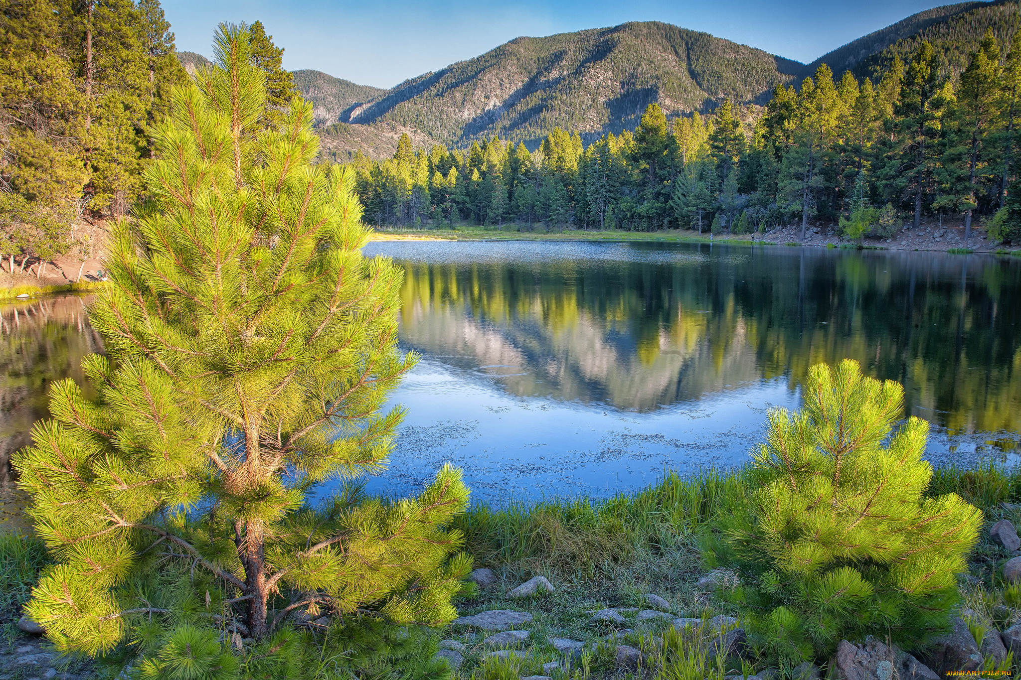 природа, реки, озера, лес, горы, река