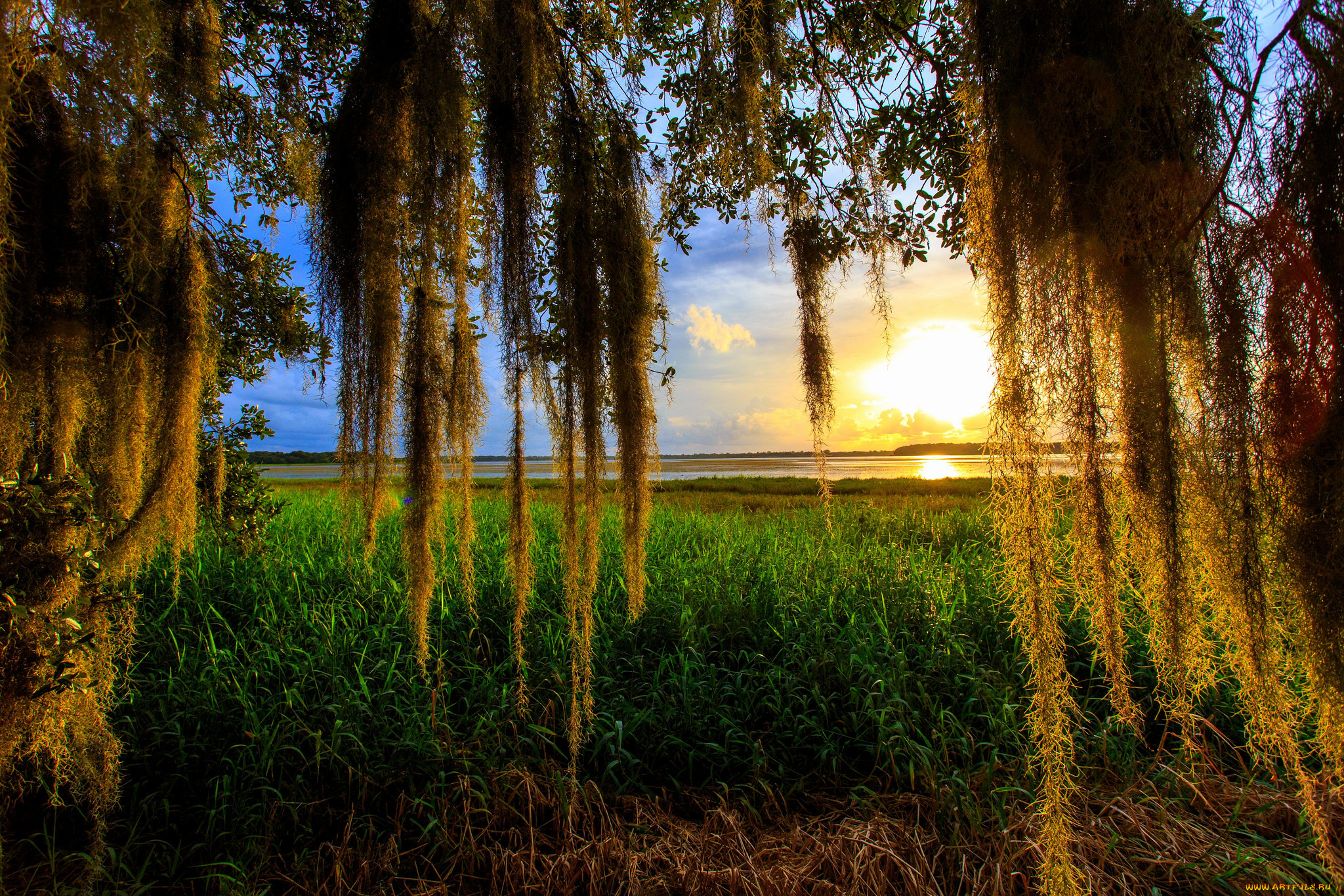 природа, восходы, закаты, рассвет