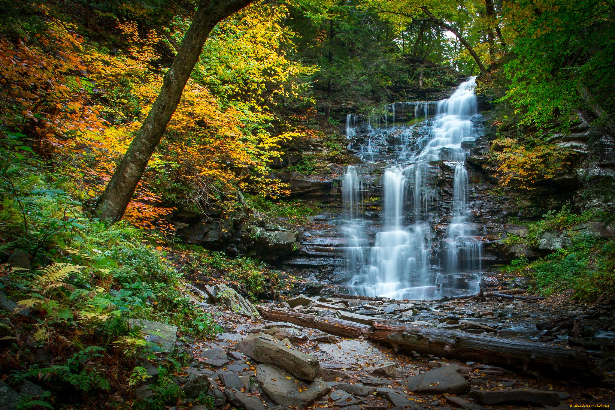 природа, водопады, водопад, река, лес