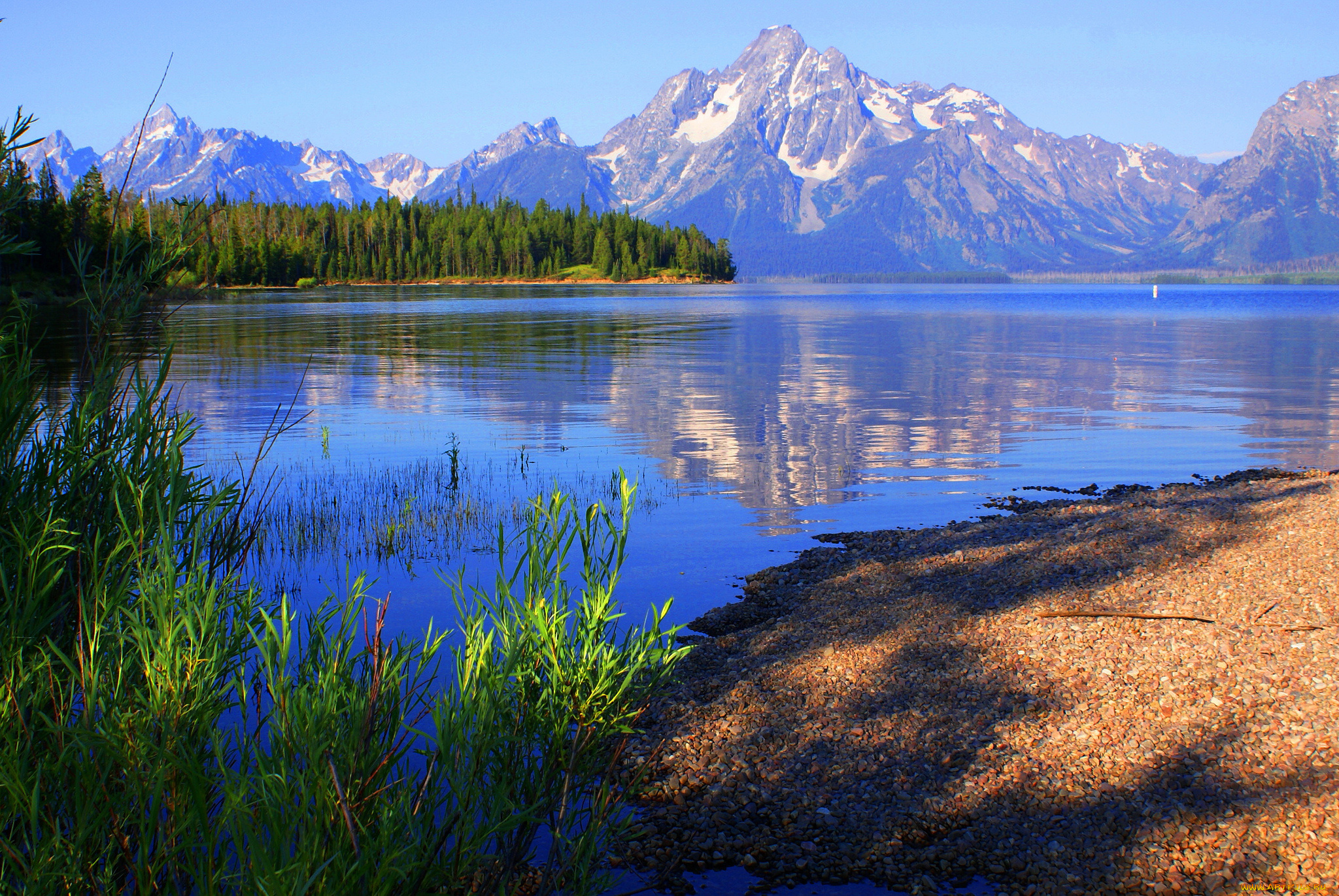 природа, реки, озера, деревья, отражение, озеро, горы, сша, вайоминг, grand, teton, national, park, снег, небо
