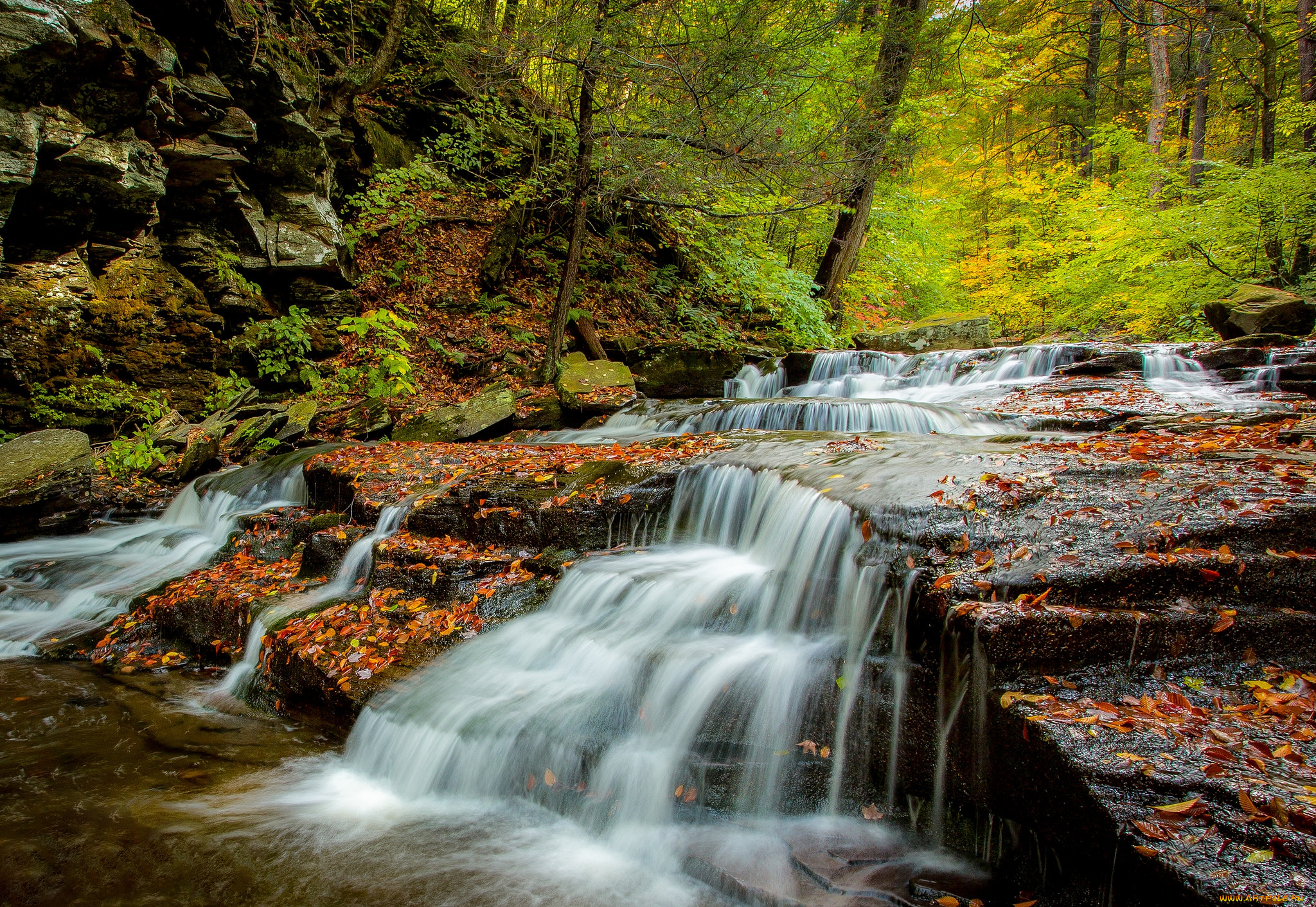 природа, водопады, лес, водопад, река
