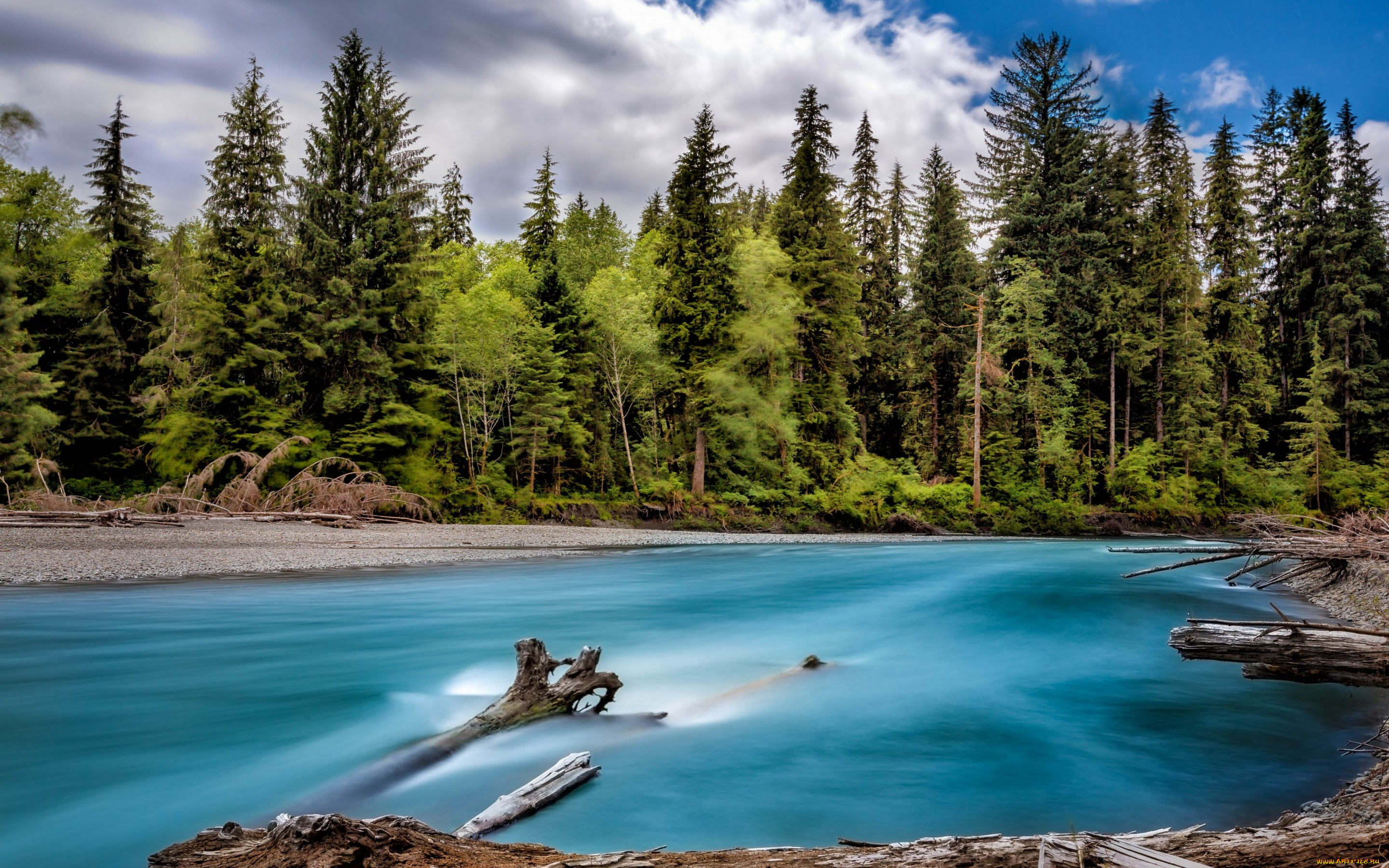 природа, реки, озера, река, берега, лес, деревья, штат, вашингтон, сша