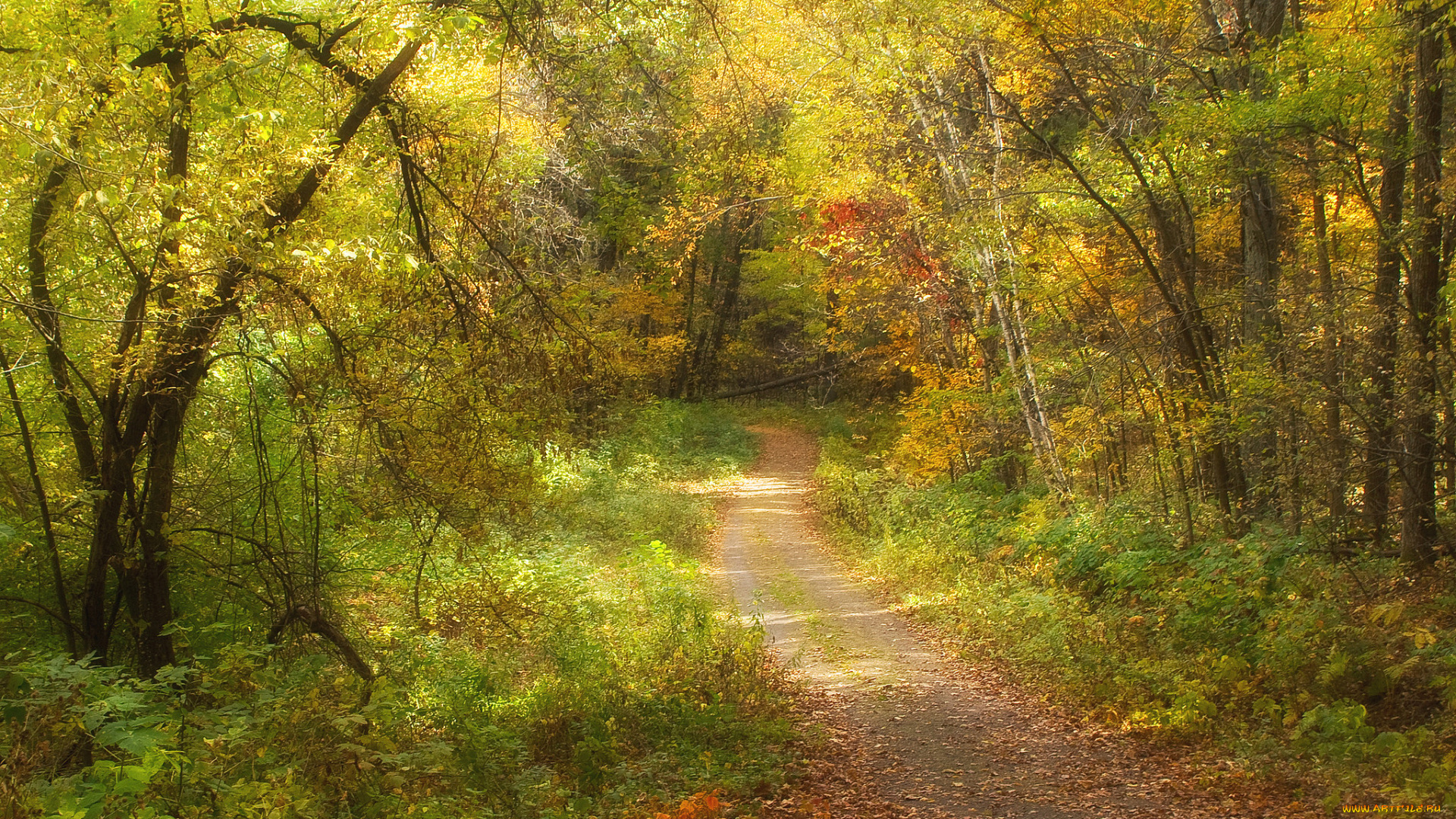 природа, дороги, тракт